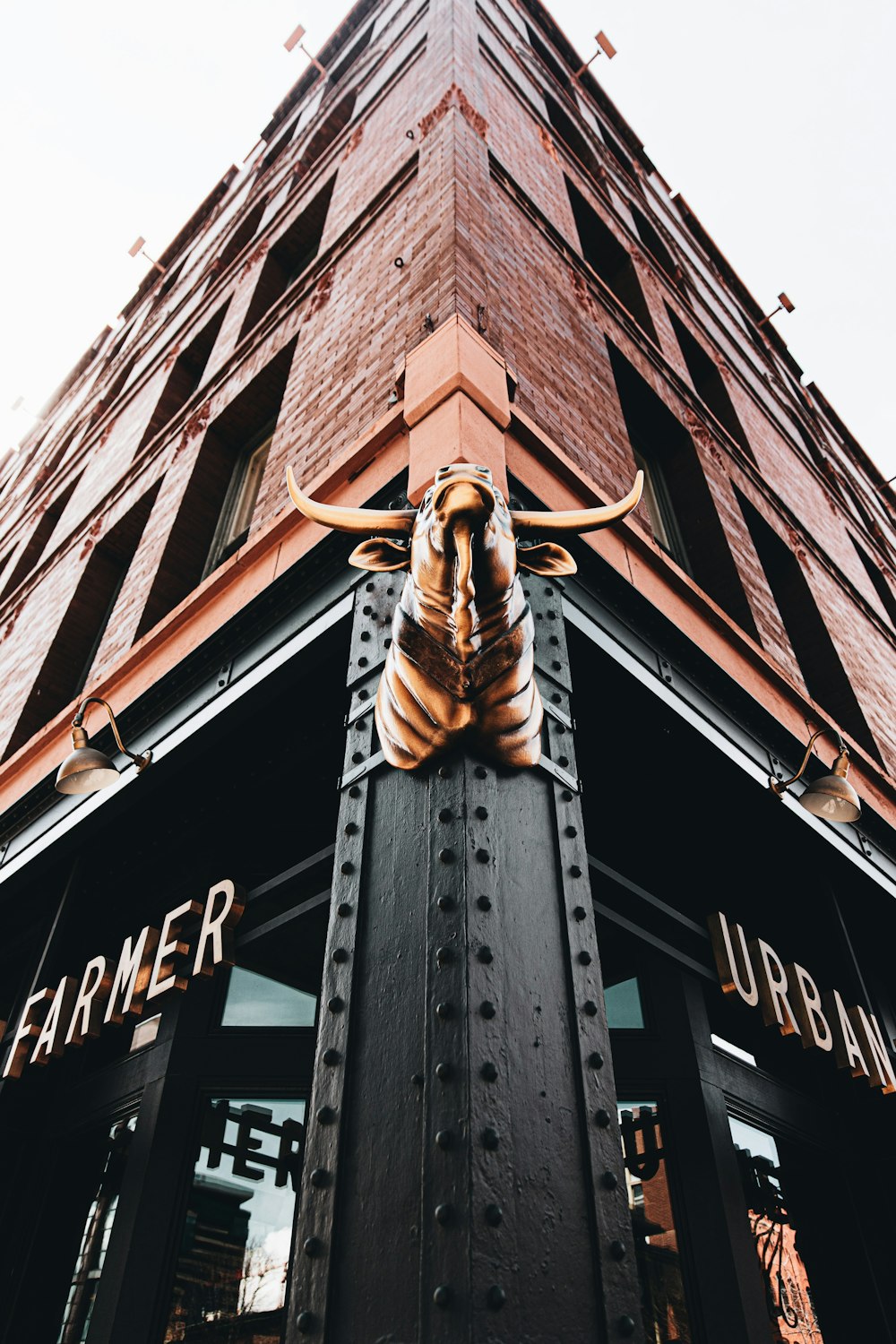 brown and black wooden building