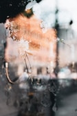 A dreamy reflection of flowers intertwined with a delicate chandelier setup, creating an ethereal and artistic scene. The soft focus adds a gentle, otherworldly quality to the image.