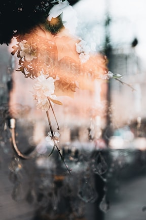 A dreamy reflection of flowers intertwined with a delicate chandelier setup, creating an ethereal and artistic scene. The soft focus adds a gentle, otherworldly quality to the image.