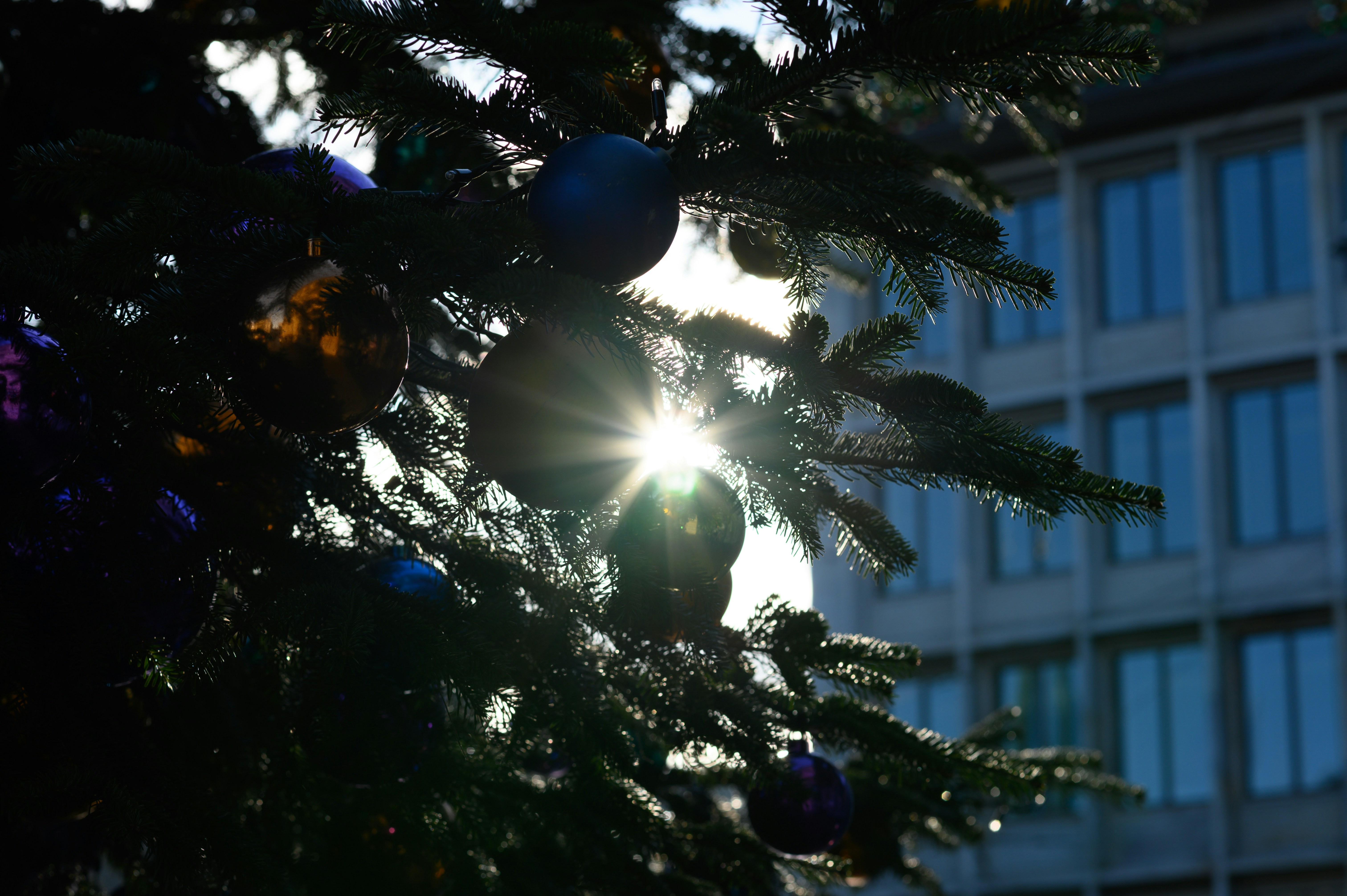 TradeStars header image