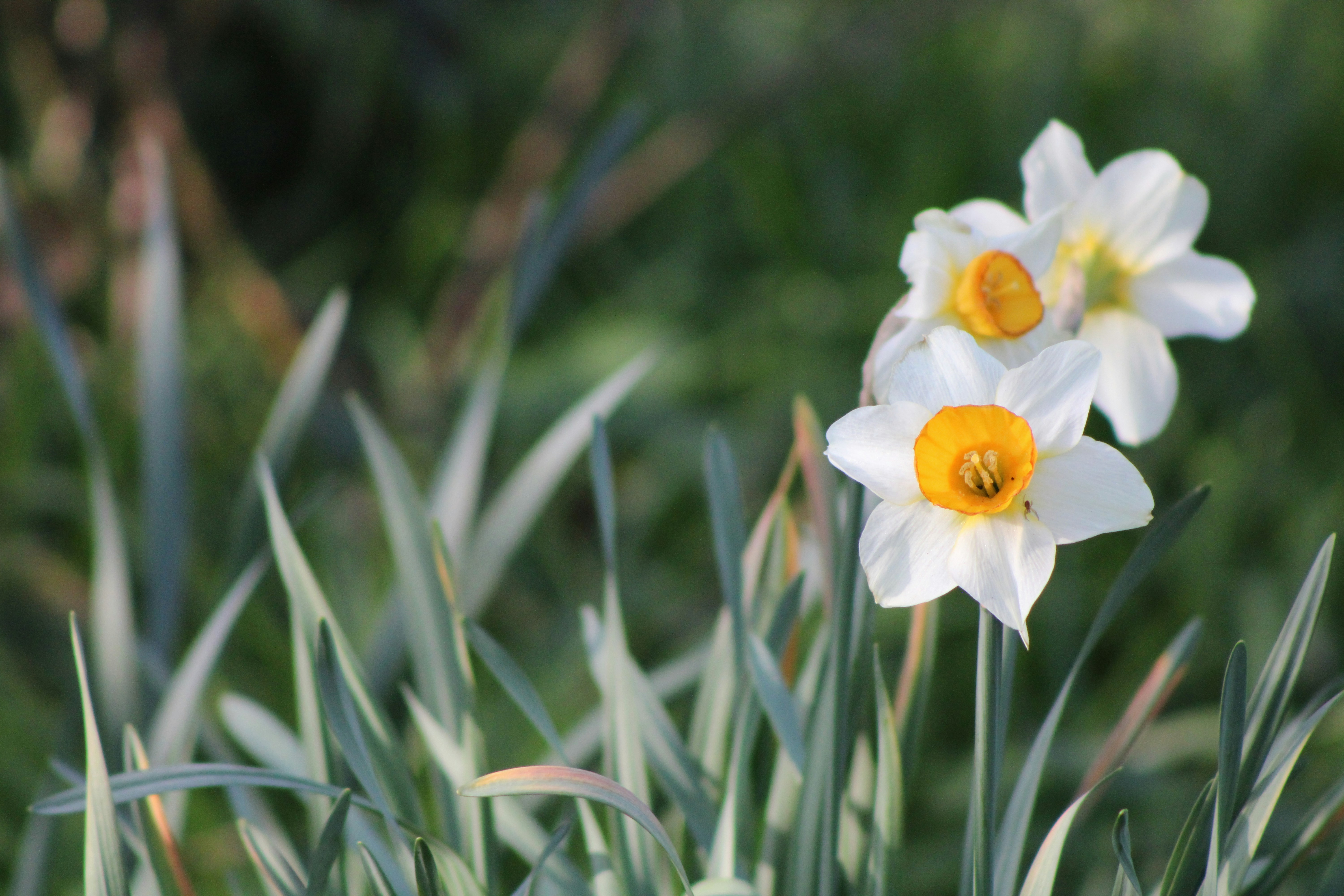 Photo by revivaldigitalmarketingsolutions