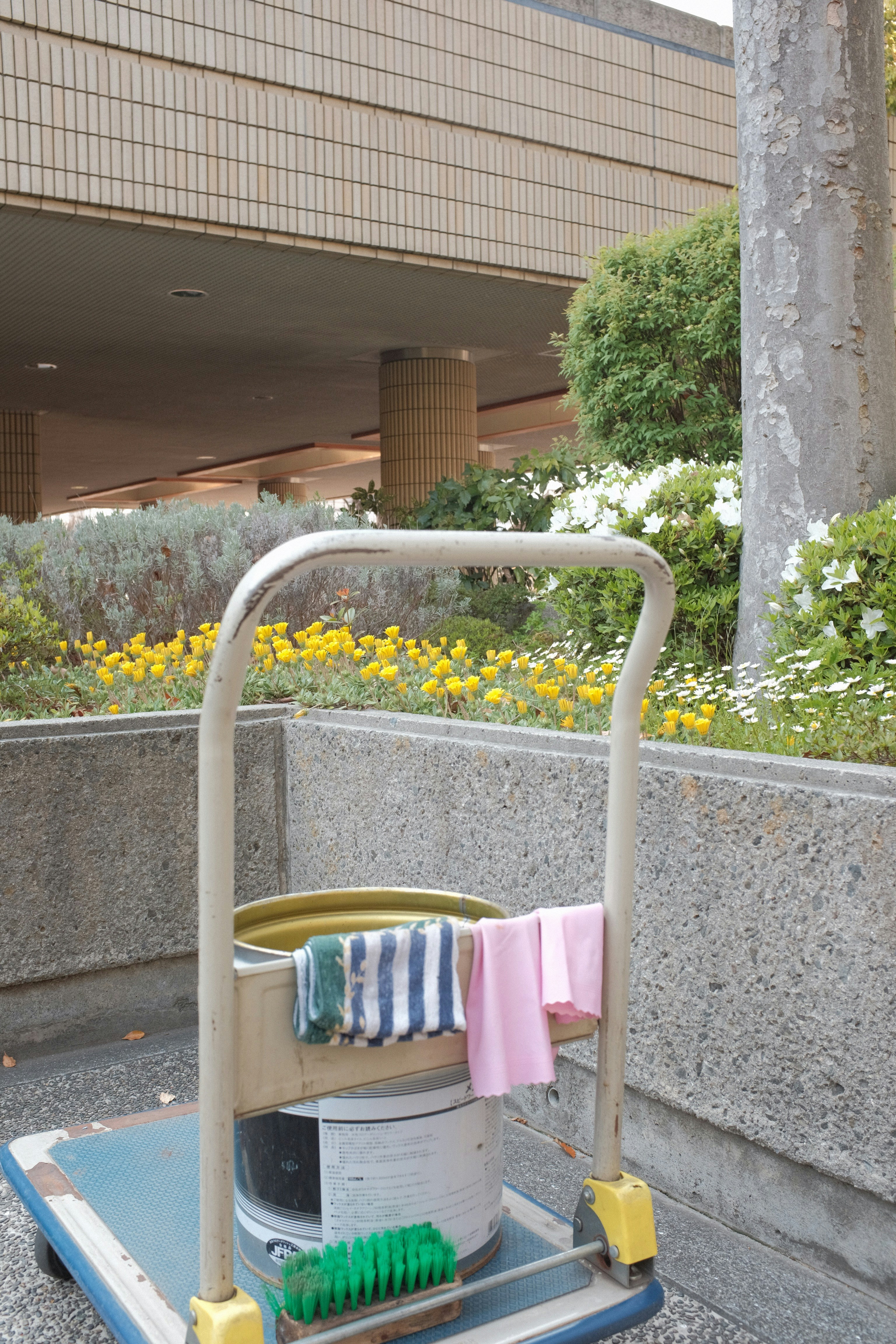 A cleaning cart is positioned in an outdoor area with a concrete building structure in the background. The cart holds a large bucket and cleaning supplies, including a striped cloth and a pink cloth hanging over the handle. A green scrubbing brush is placed on the bottom platform. Surrounding the area are vibrant flower beds with yellow and white flowers, as well as bushes and trees, contributing to a tidy and well-maintained environment.