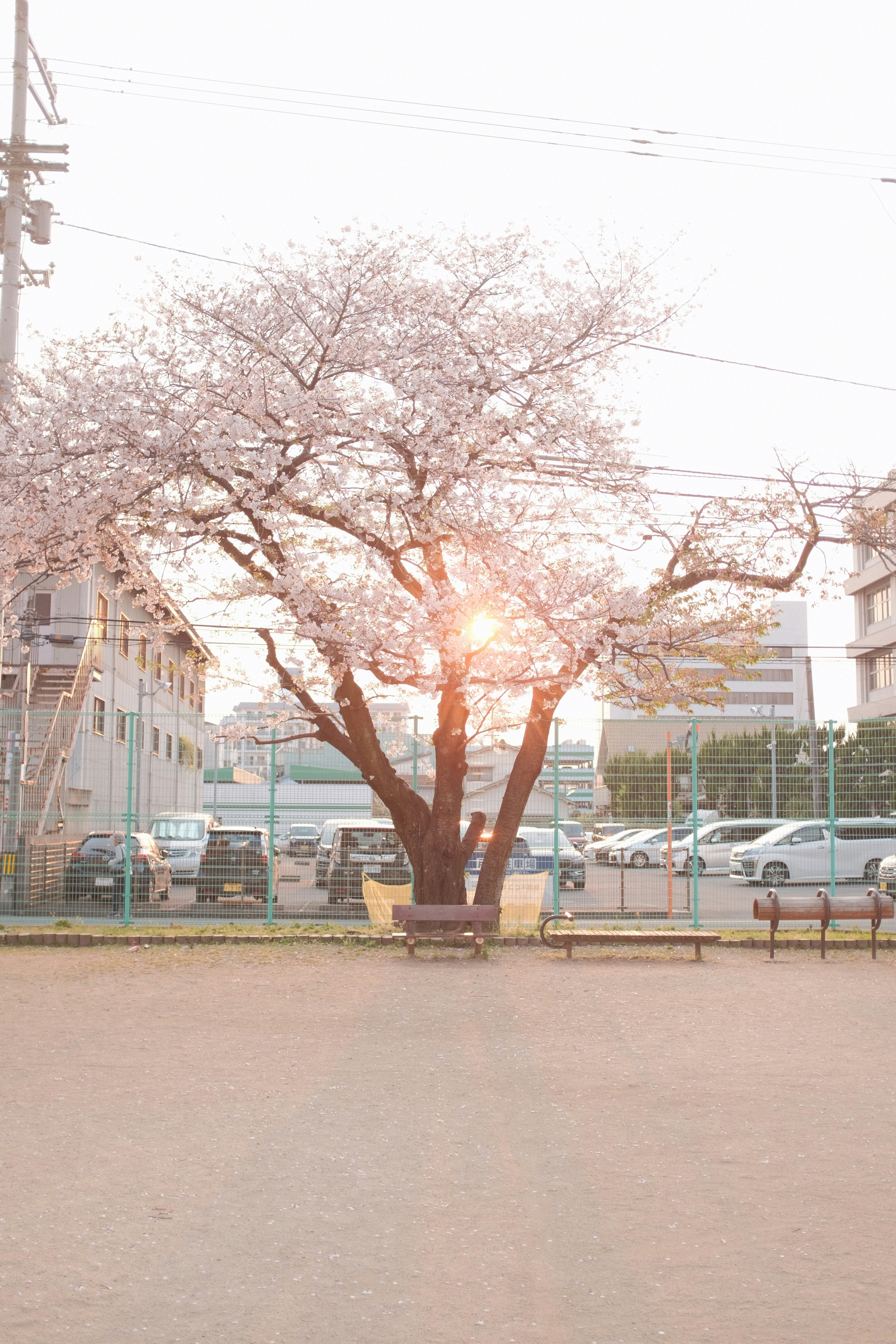 Photo by mak_jp