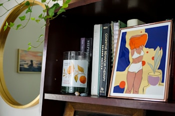 A wooden bookshelf holds a variety of items including a framed abstract artwork of a woman in a swimsuit, several books with visible titles like 'Cognitive Behavior Therapy', and a candle labeled 'Citrus & Cedarwood'. Some green leafy vines drape from above, and there's a golden-framed circular mirror reflecting part of the room.