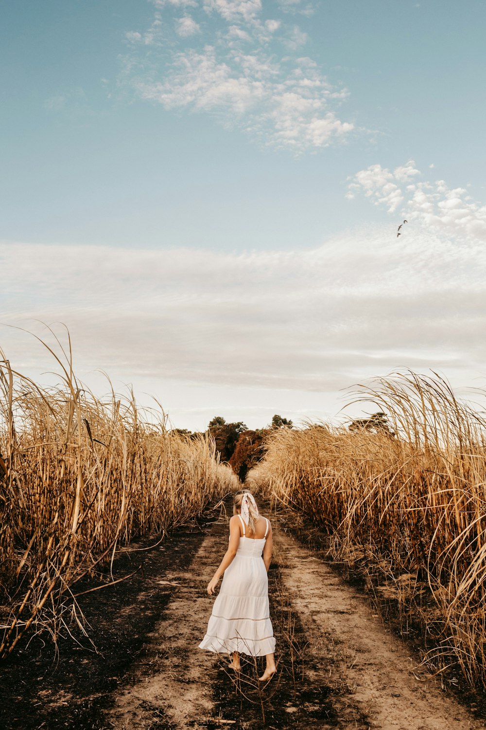 Mujer en vestido blanco de pie en campo marrón durante el día