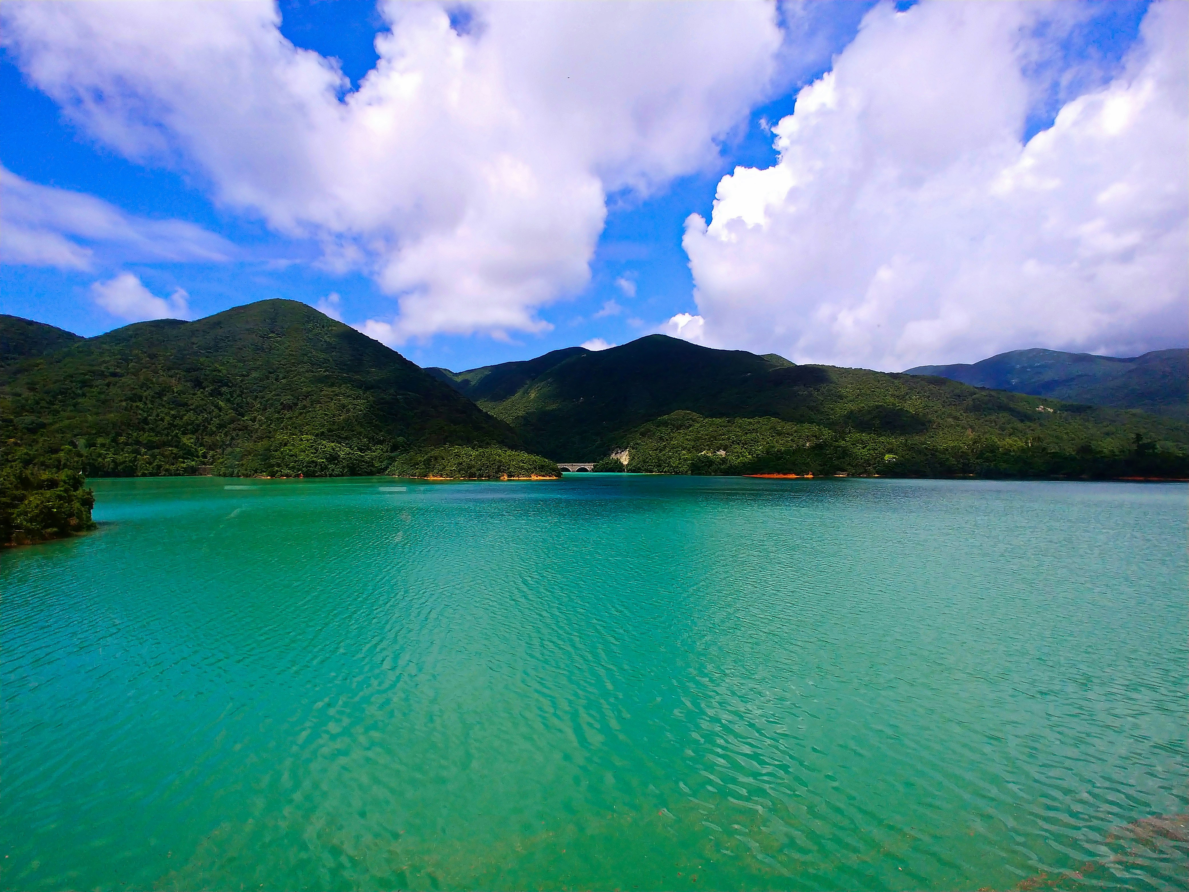 Photo by meditatingdragon