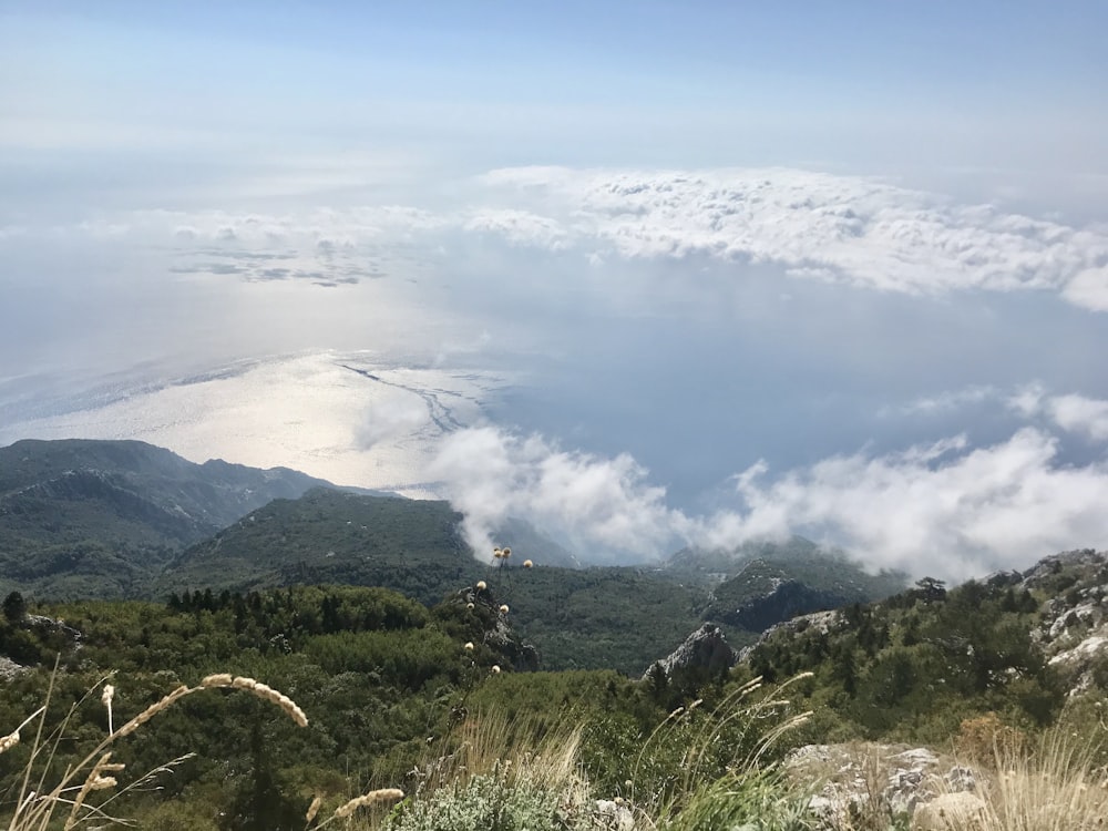 낮에는 흰 구름 아래 산에 푸른 잔디