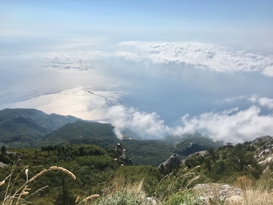 green grass on mountain under white clouds during daytime in Áthos Greece