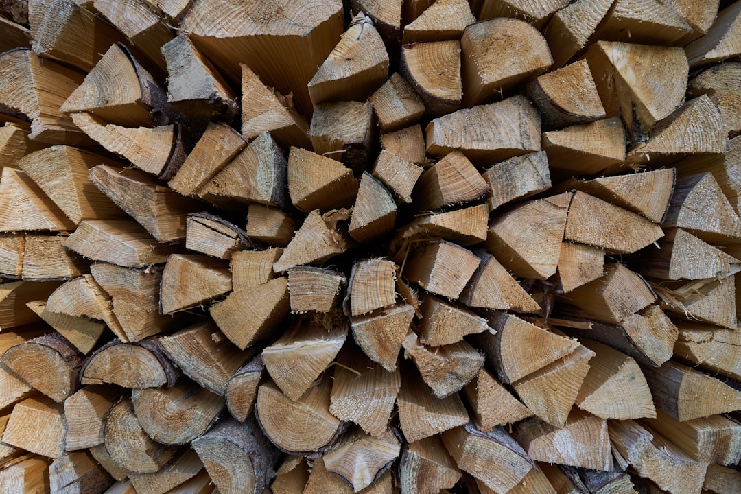 pile of brown wooden logs