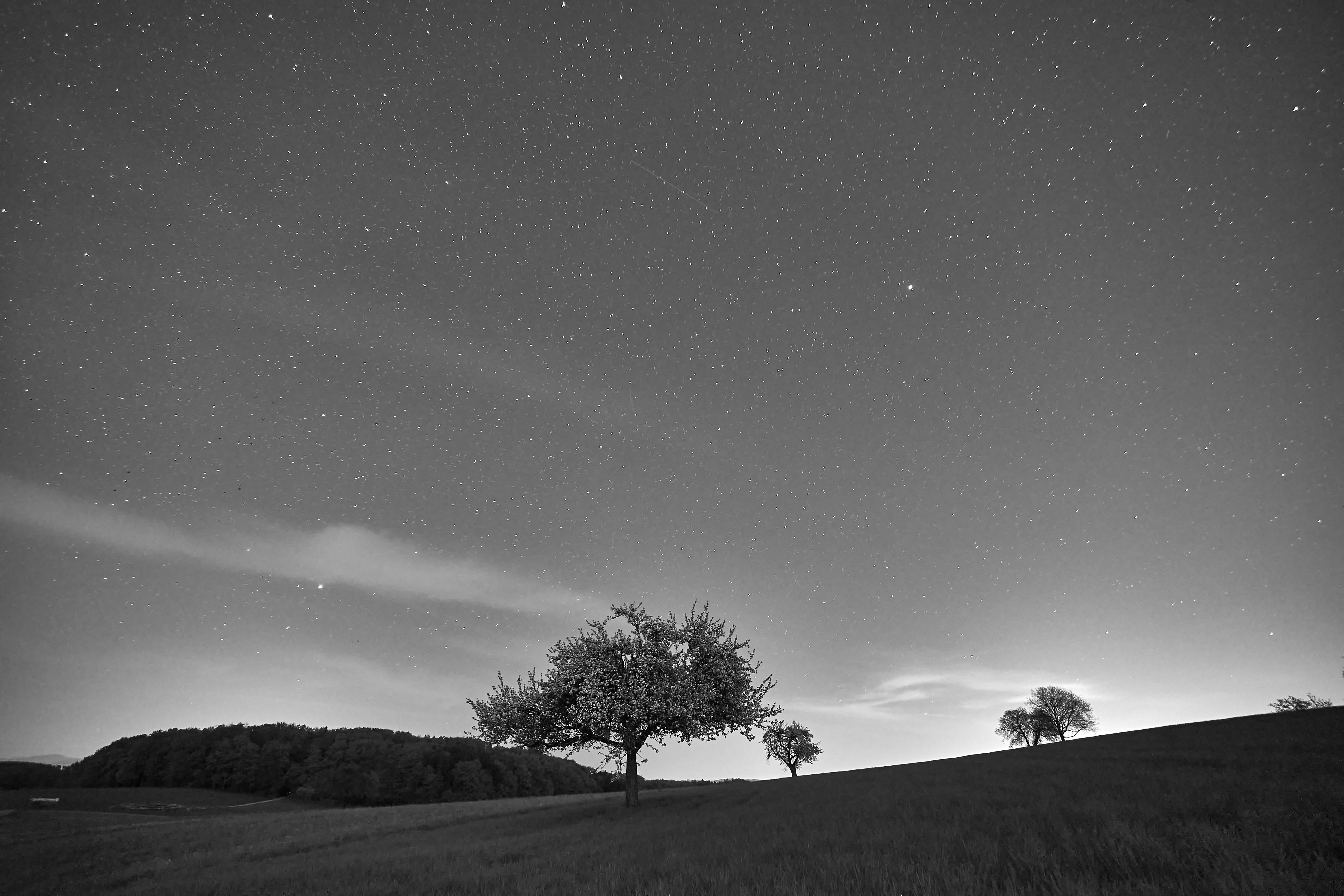 Photo by wolfgang_hasselmann