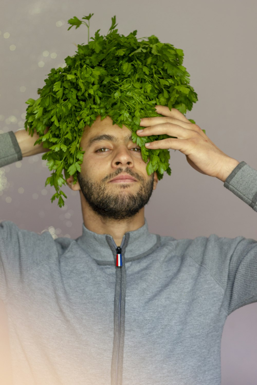 man in gray sweater holding green plant