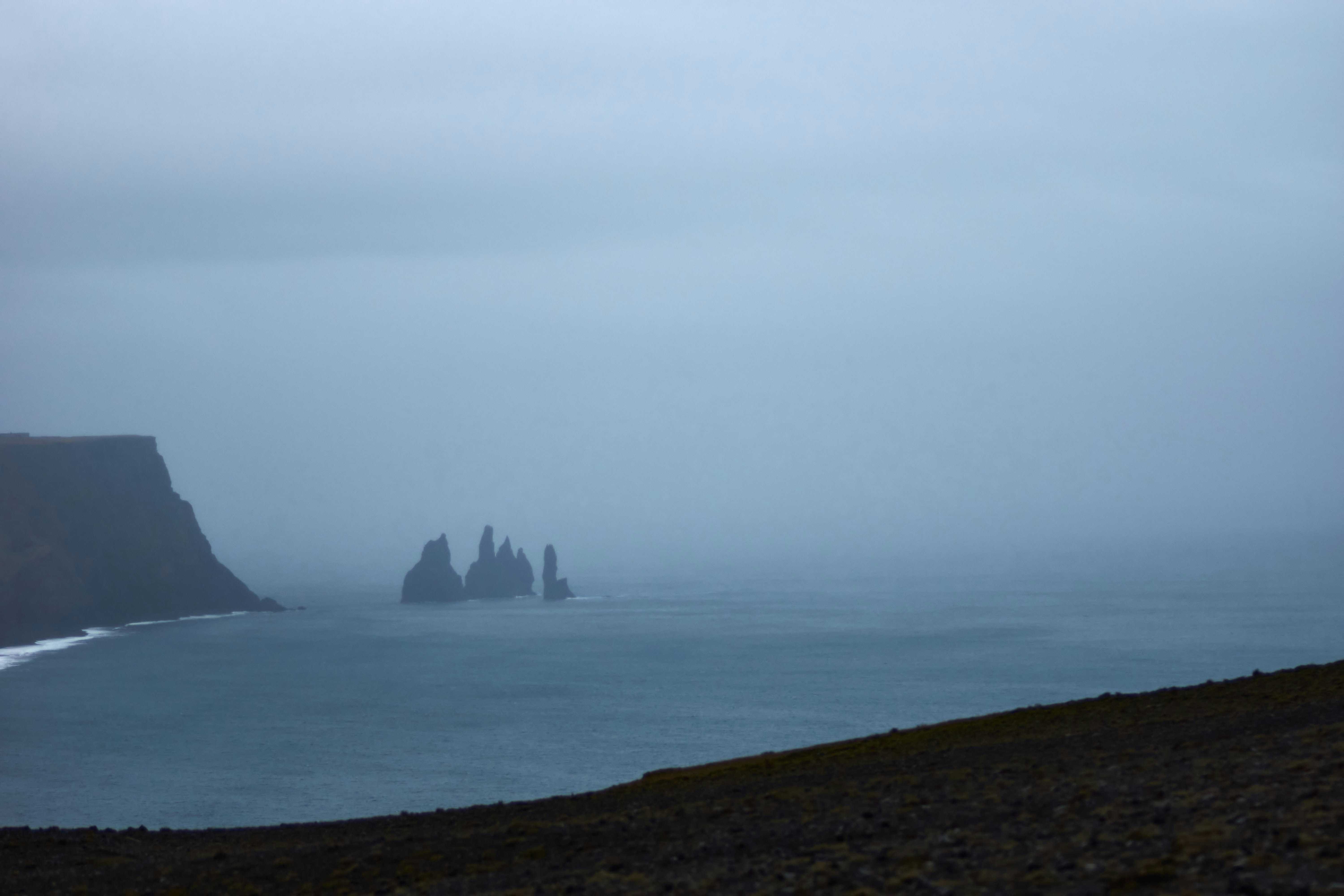 Photo by wolfgang_hasselmann