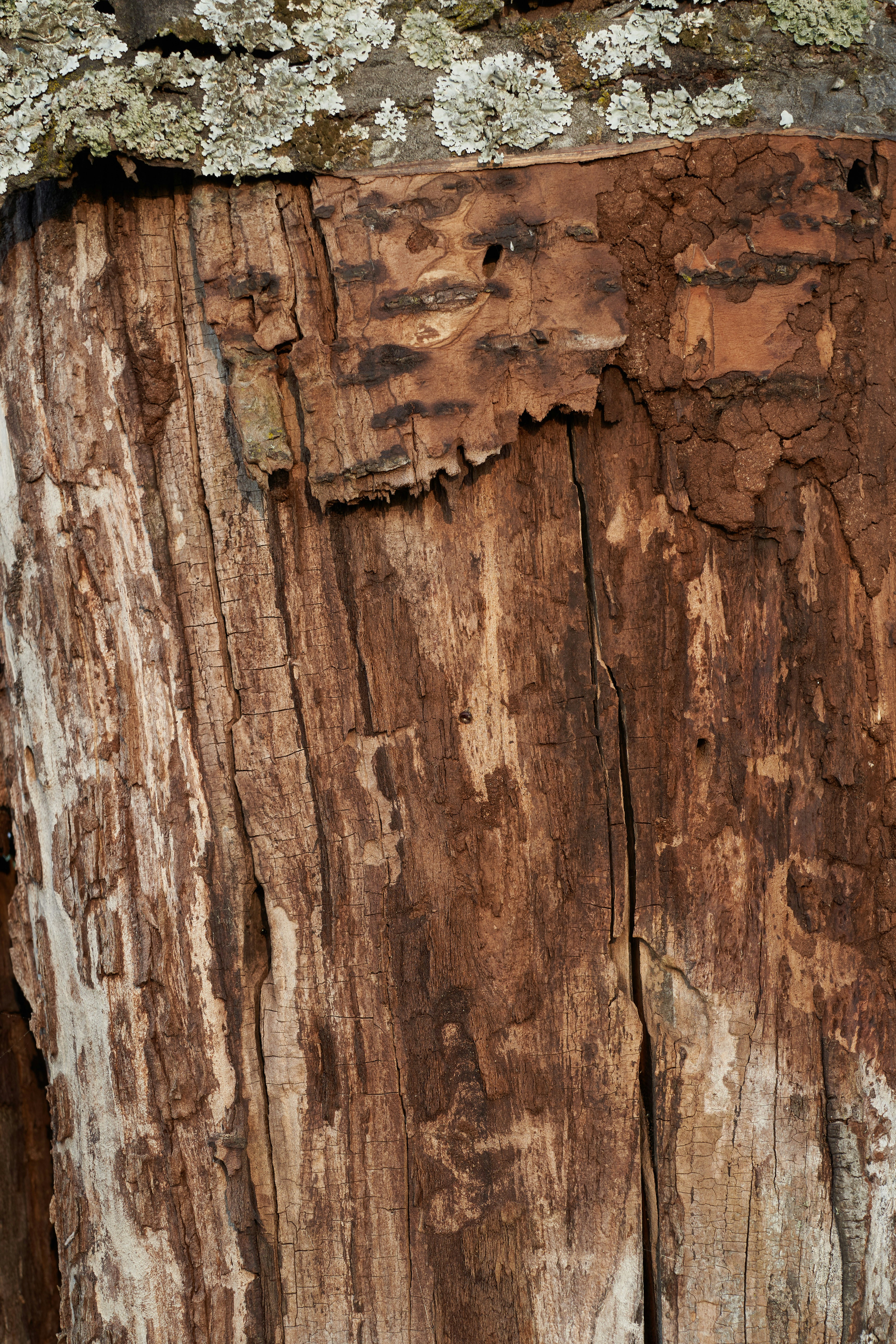 Photo by wolfgang_hasselmann