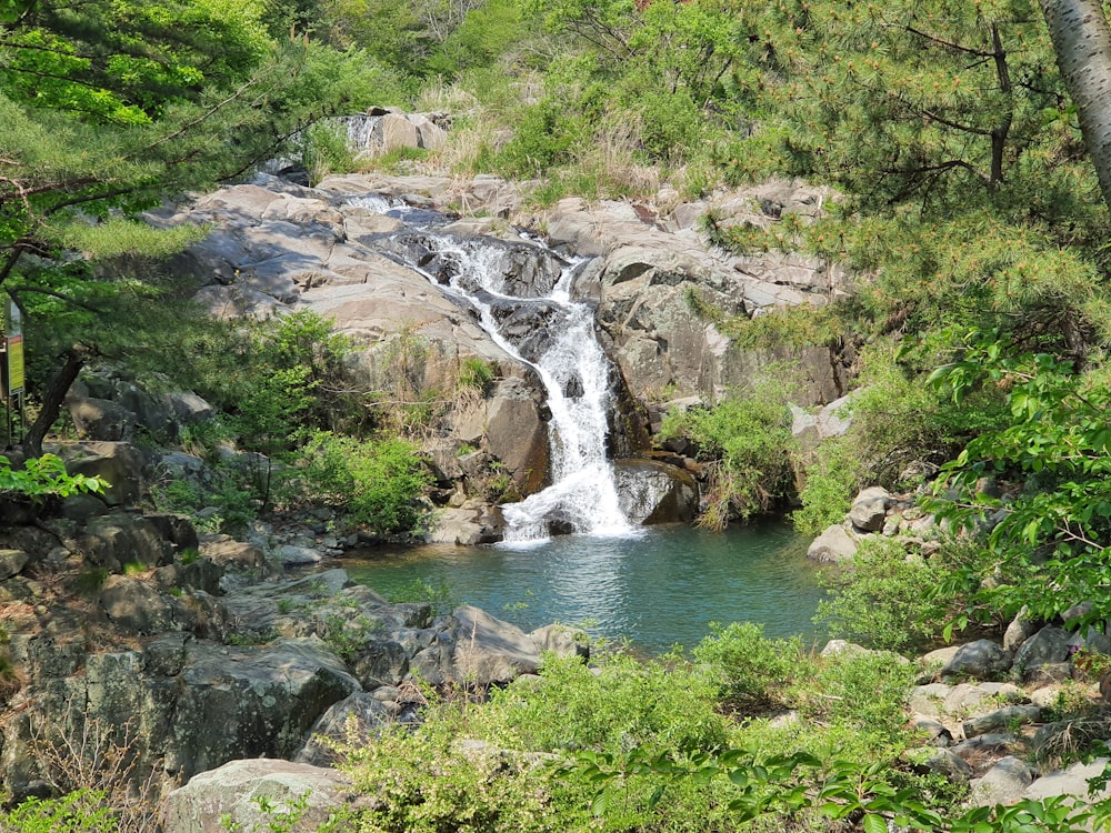 water falls in the middle of green grass field