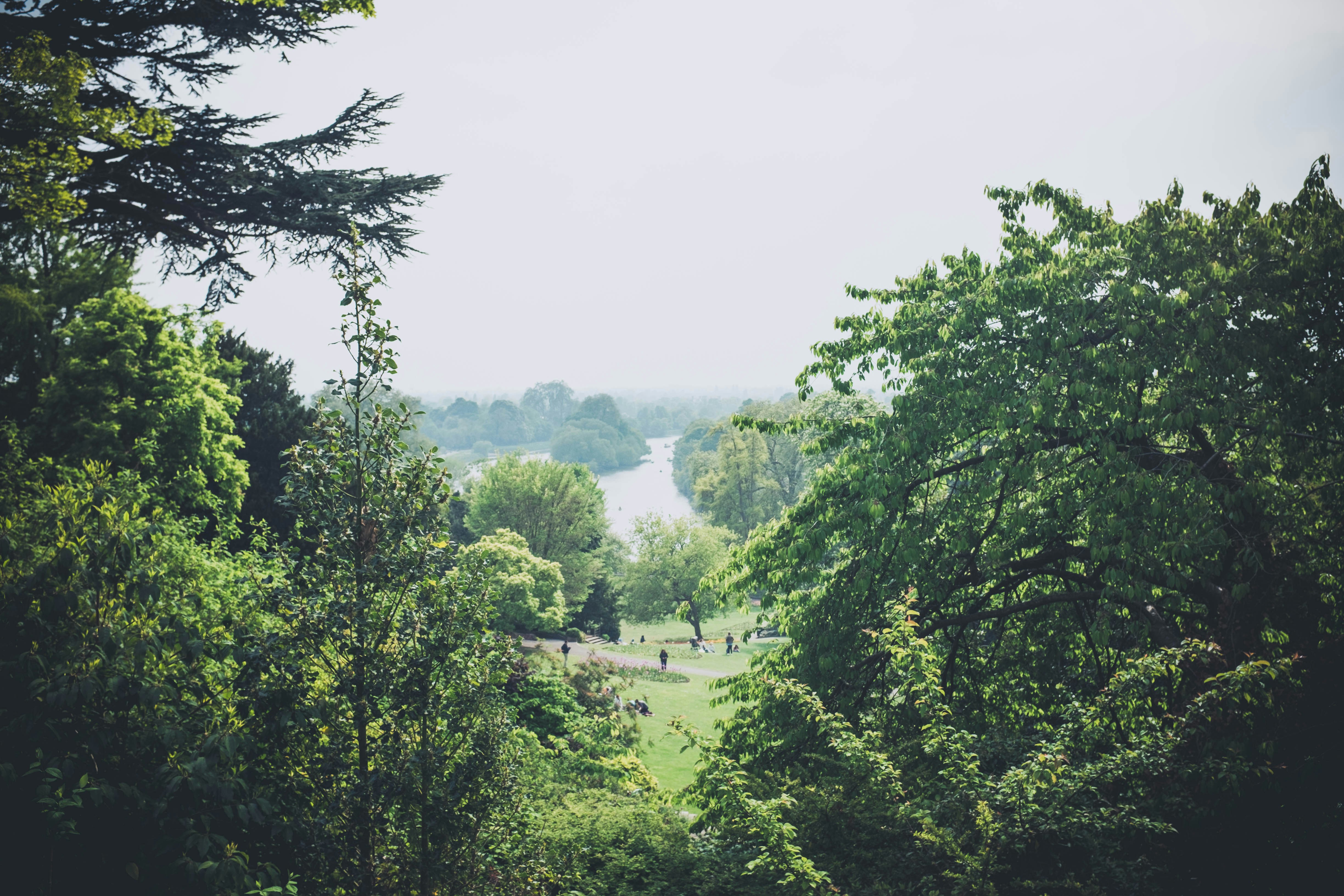 Photo by nicolasjleclercq