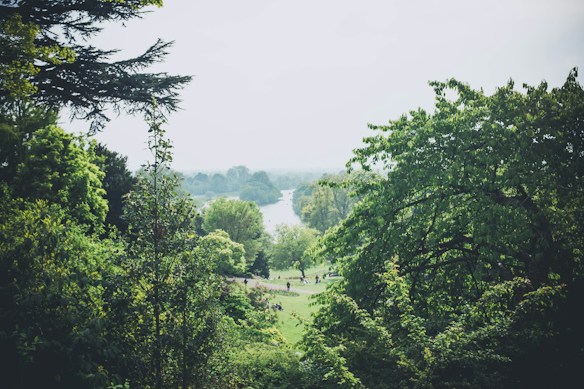 A lush, green landscape with a variety of trees and shrubs surrounding a river that flows through the background. People can be seen walking or relaxing in an open grassy area, enjoying the tranquil atmosphere.