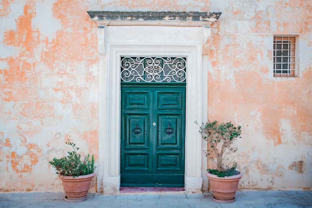 blue wooden door with green plant