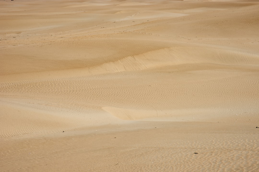 brown sand field during daytime