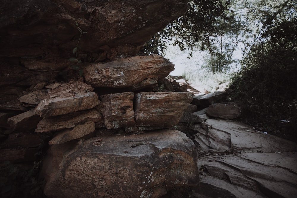 brown rock formation near green trees during daytime