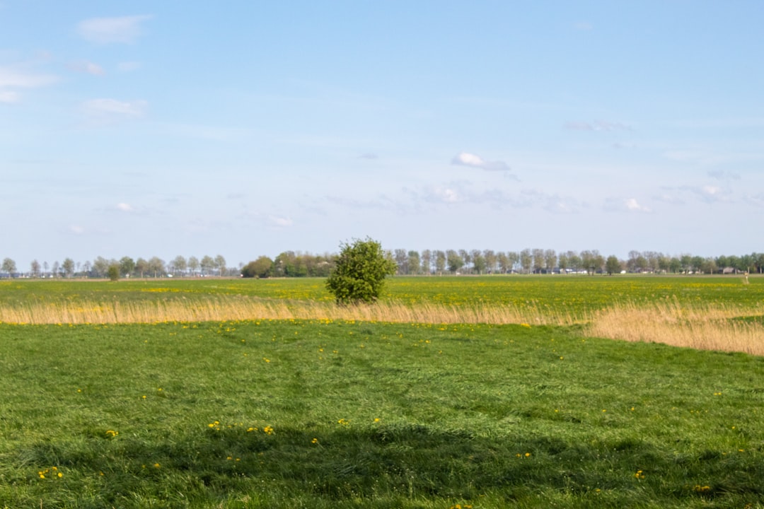 Afbeelding van Groningen