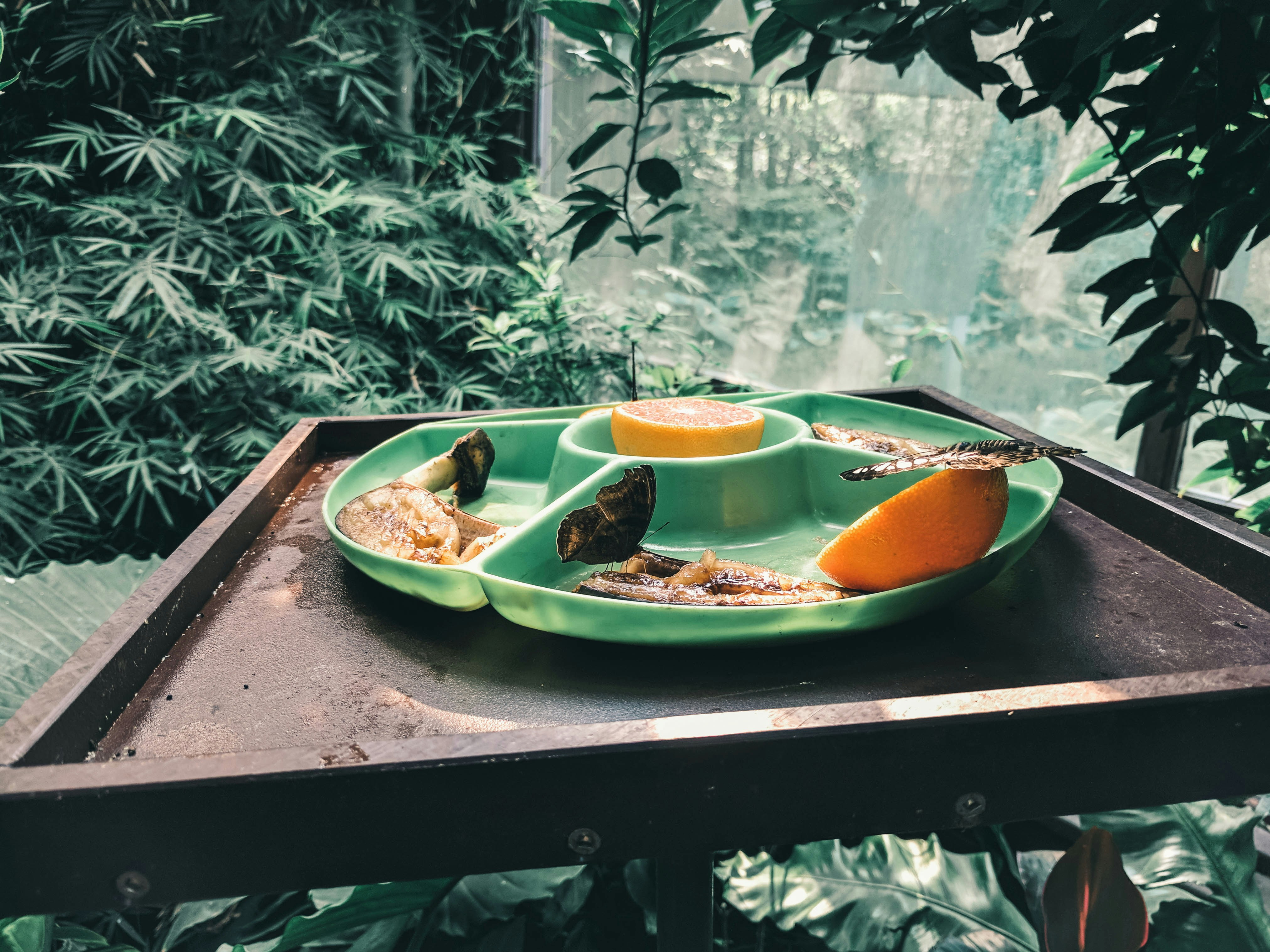 Comedor El Jardín