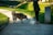 A person is standing on a path holding a leash attached to a white dog that is sitting down. Another larger brown dog is approaching the white dog with curiosity. The background shows green grass and a pathway.