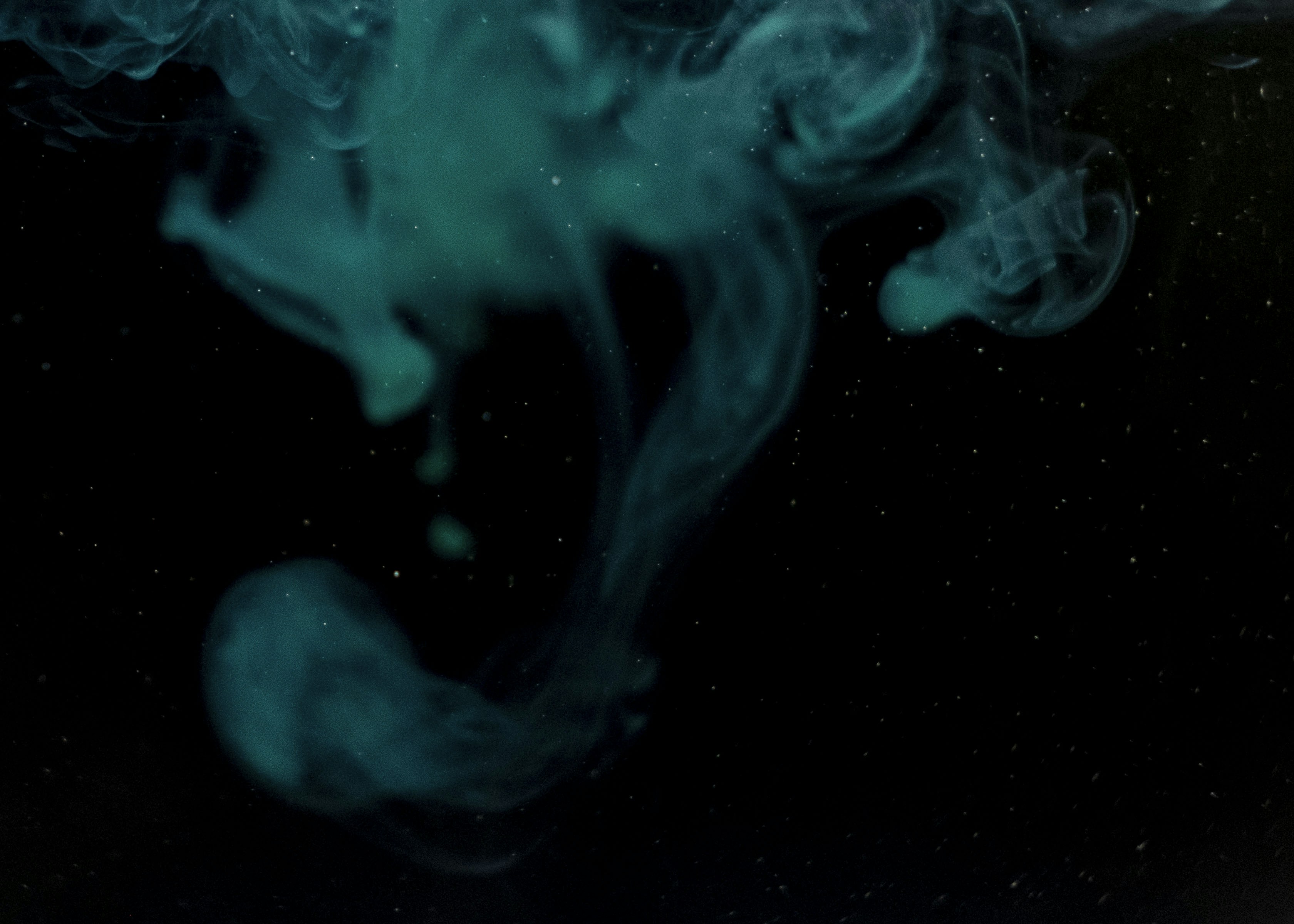 Photo by moritz_photography