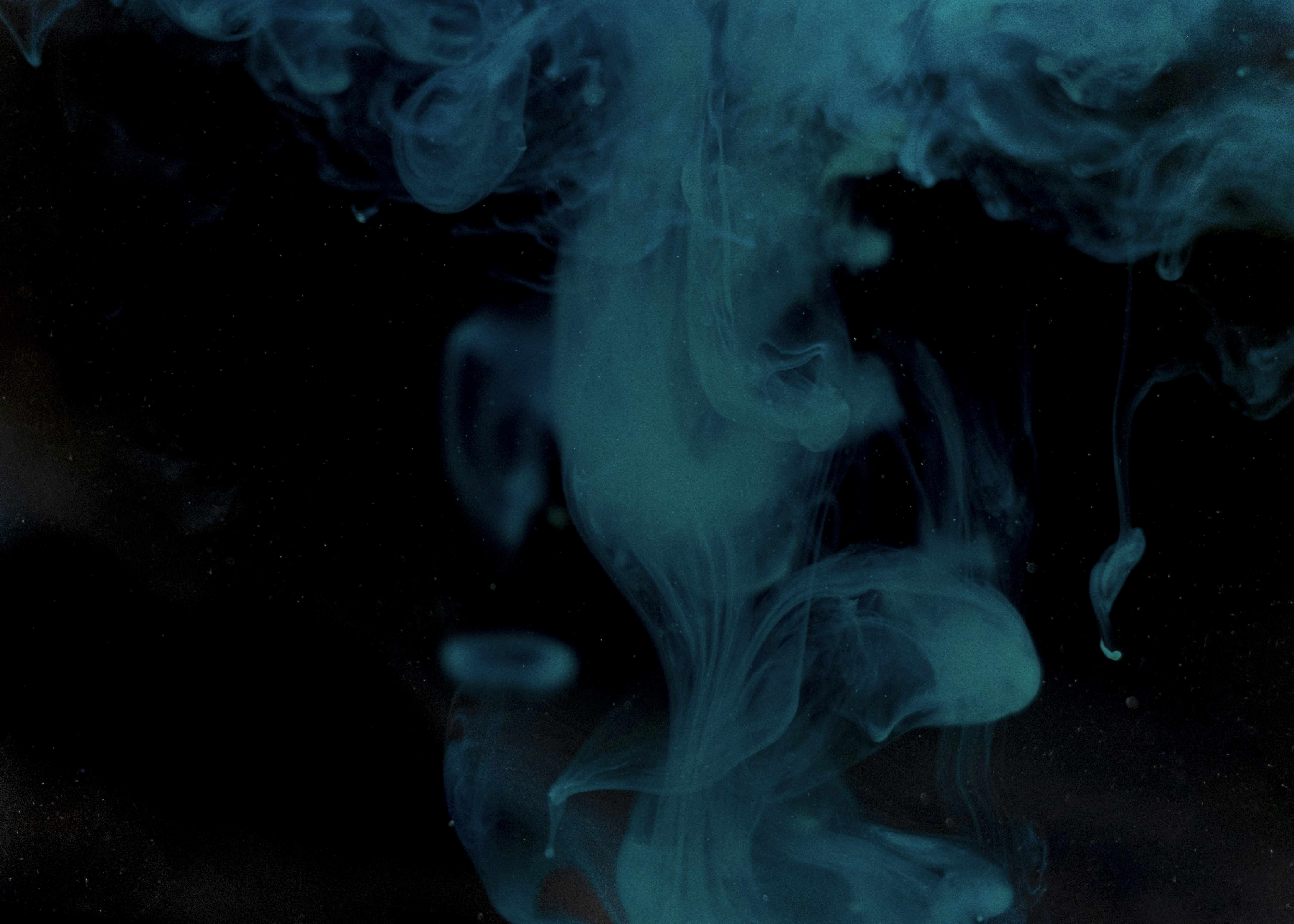 Photo by moritz_photography