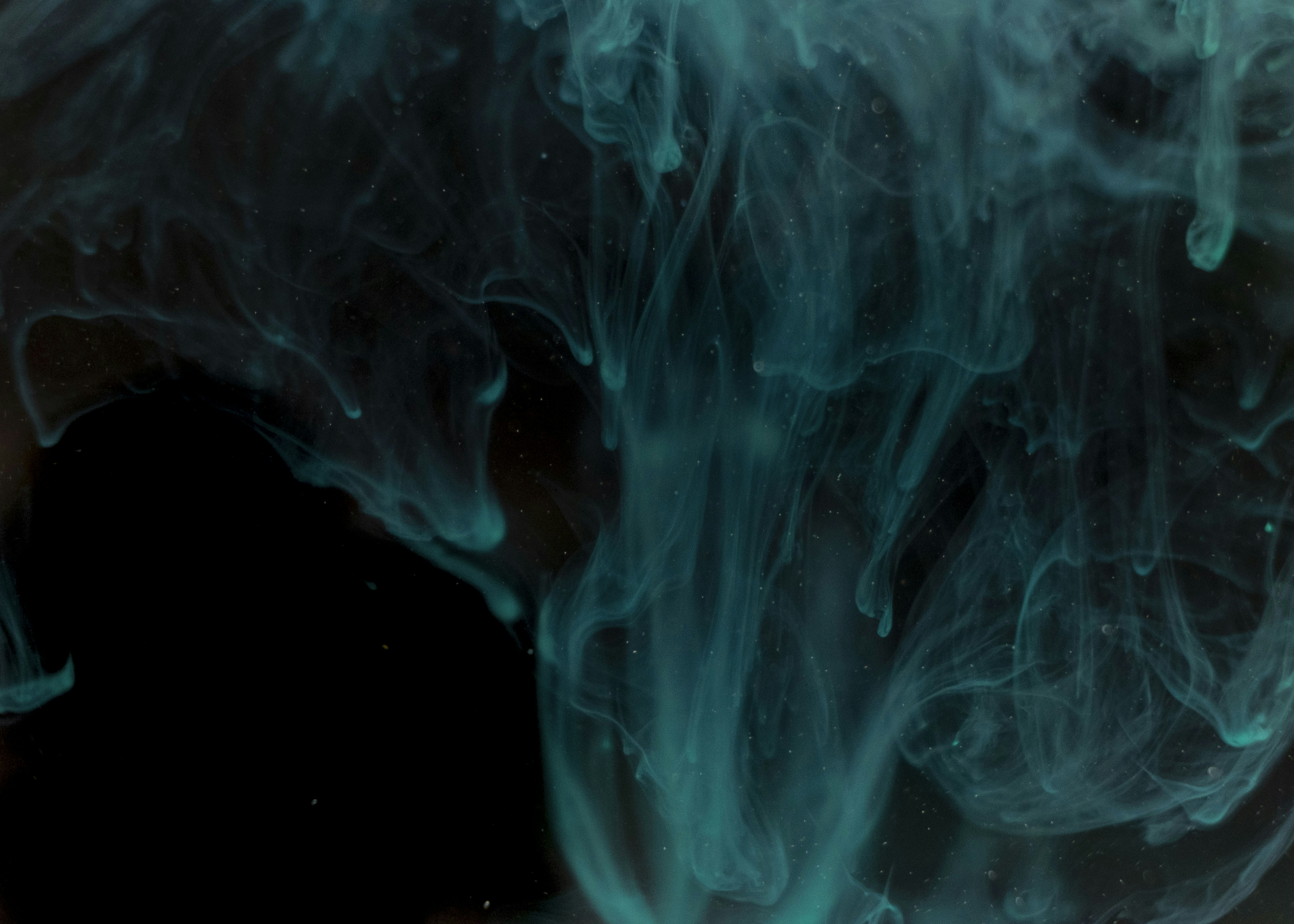 Photo by moritz_photography