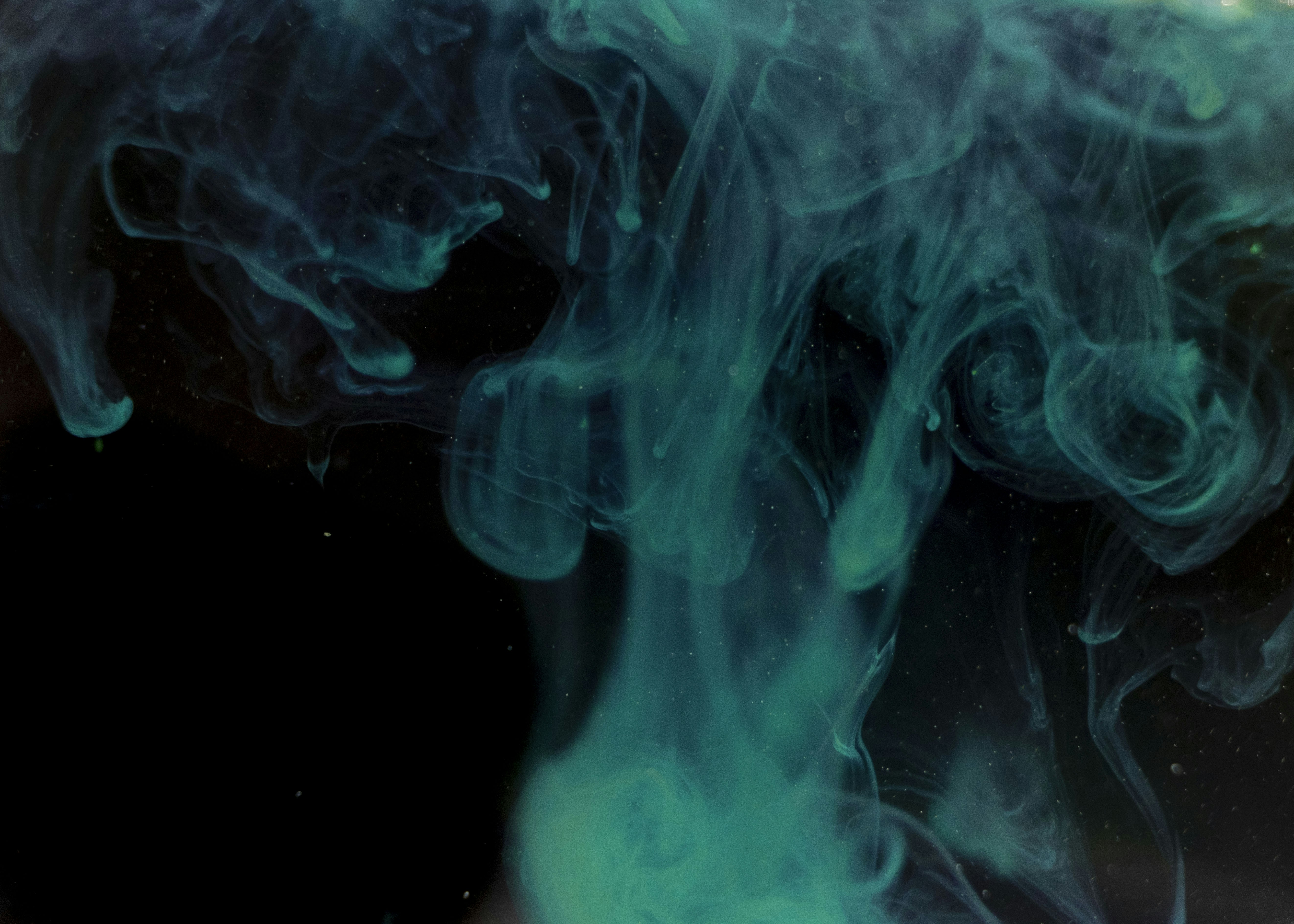 Photo by moritz_photography