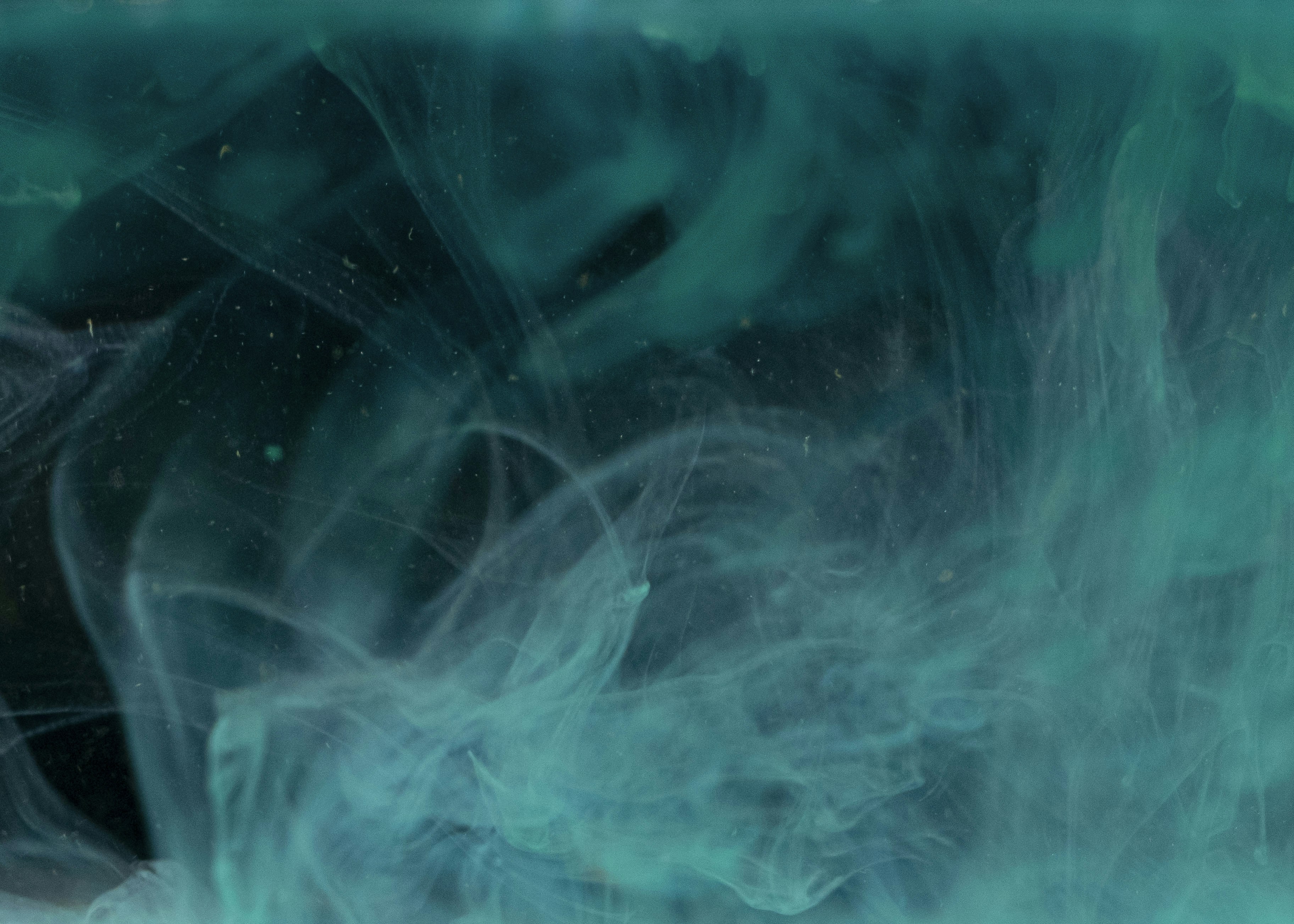 Photo by moritz_photography