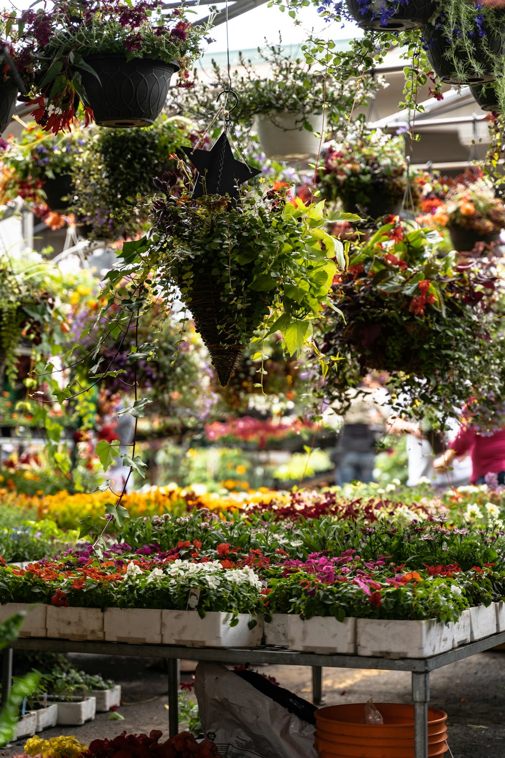 giardino fiorito verde e rosso