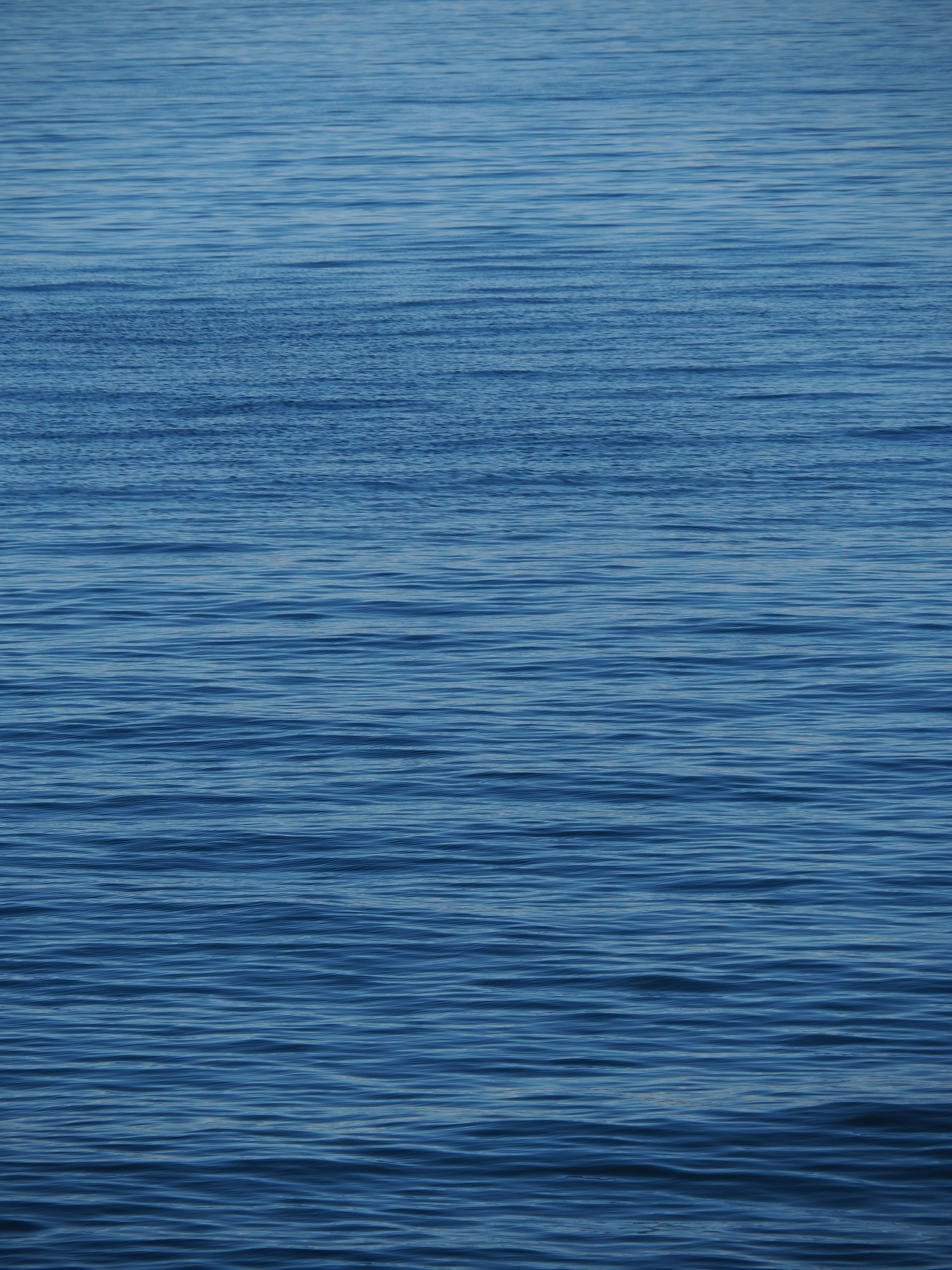 Photo by nimbus_vulpis