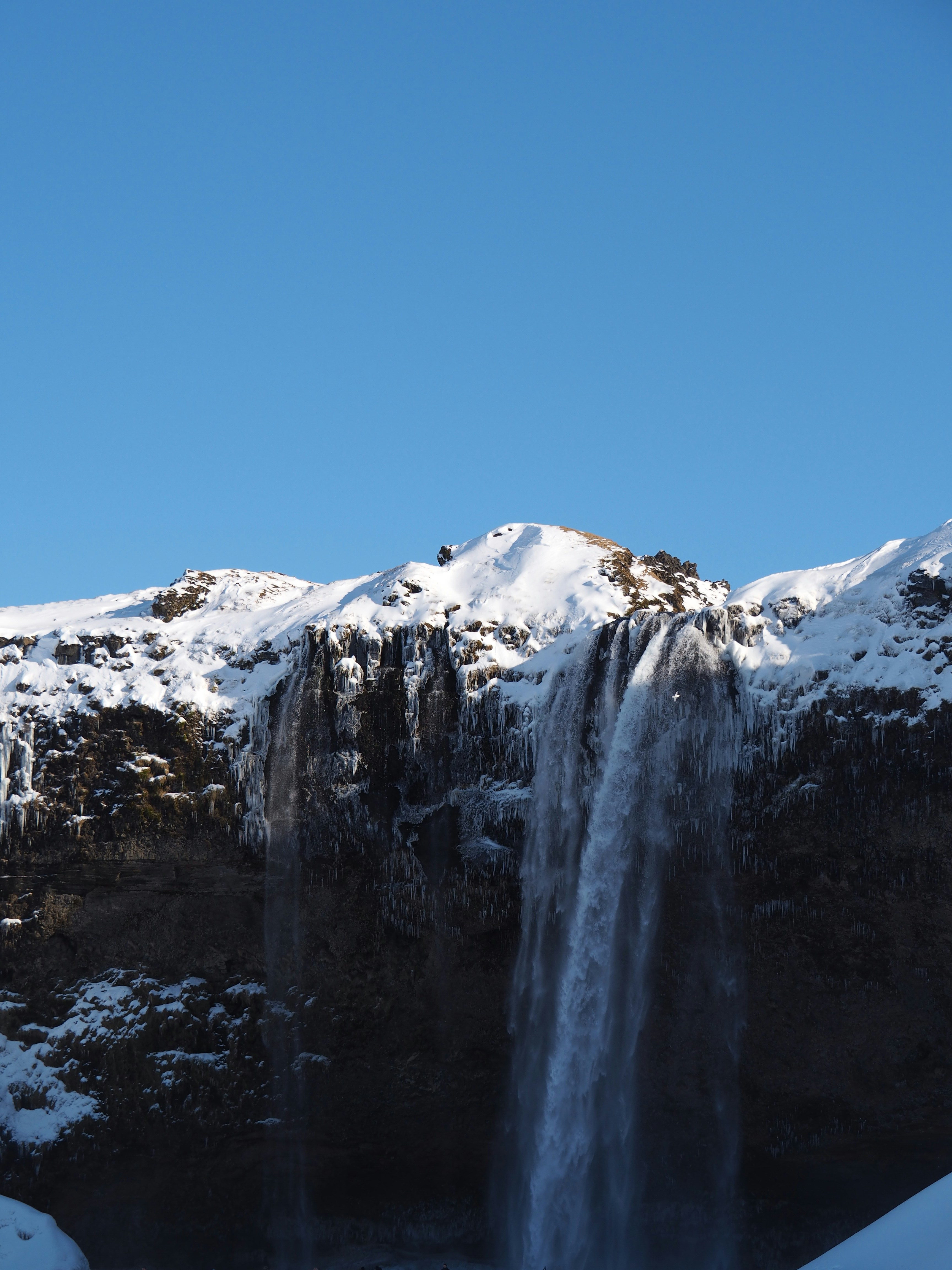 Photo by nimbus_vulpis