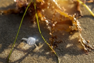 silver and diamond studded ring