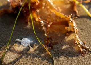 silver and diamond studded ring