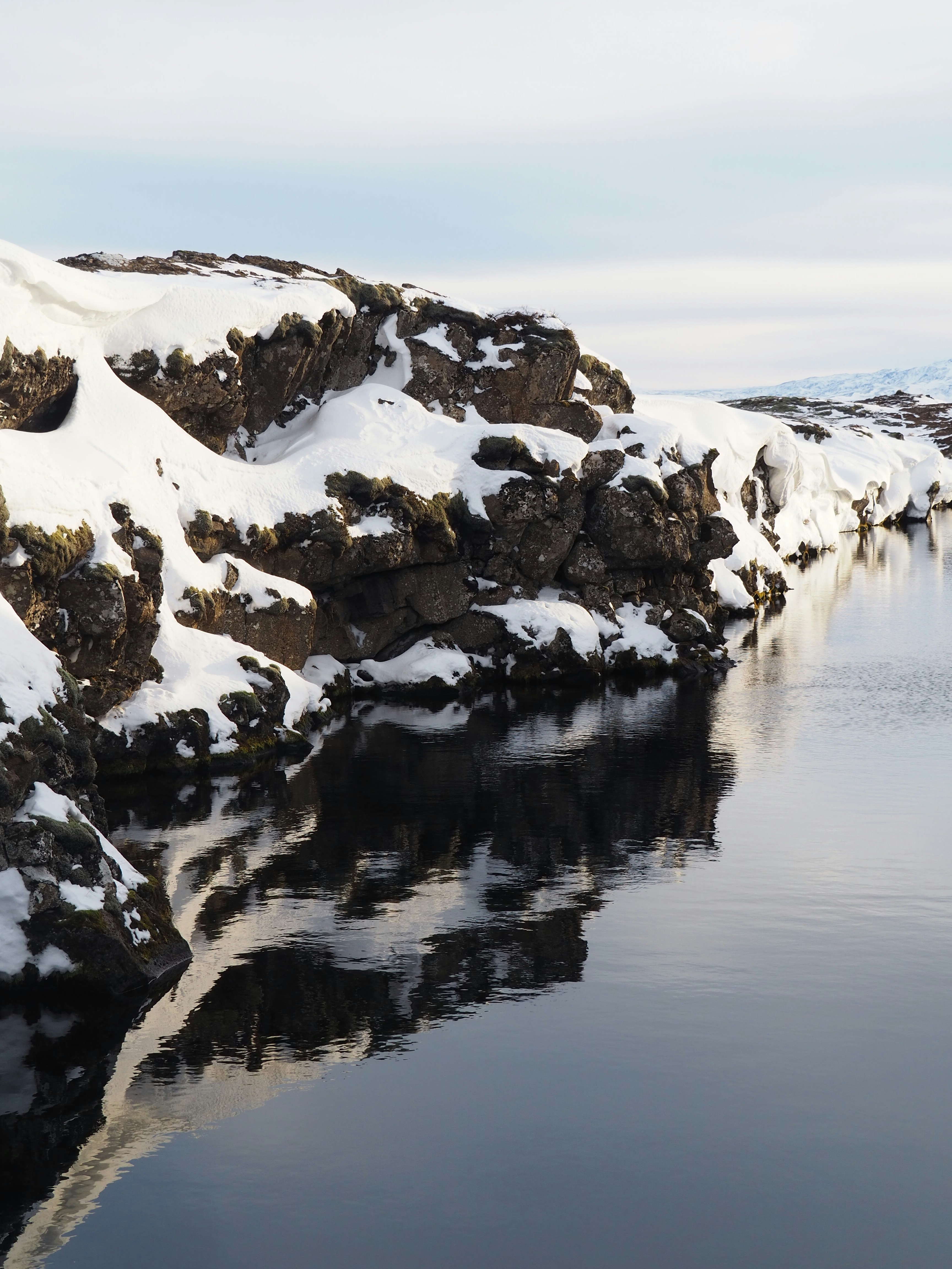 Photo by nimbus_vulpis