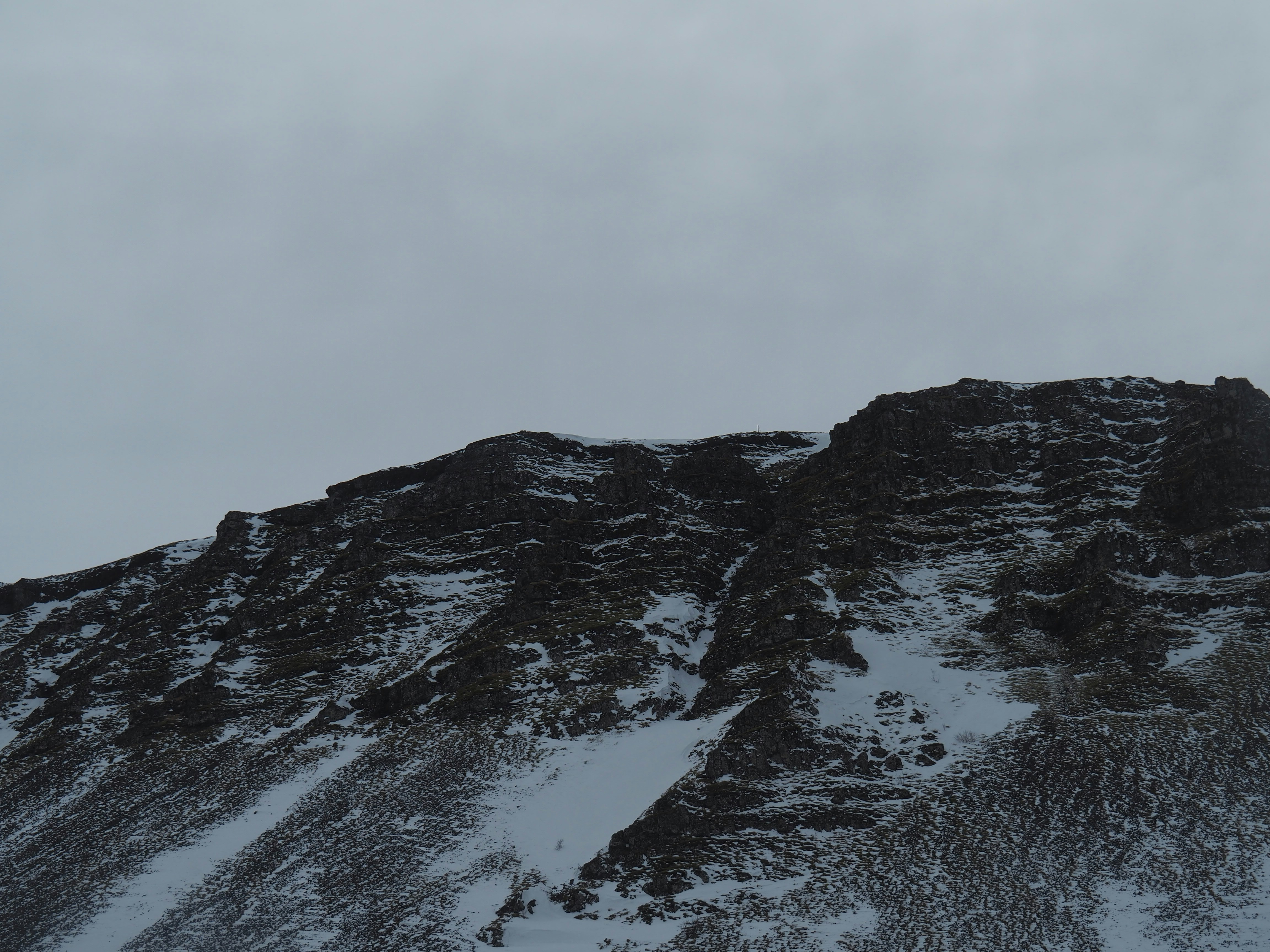 Photo by nimbus_vulpis