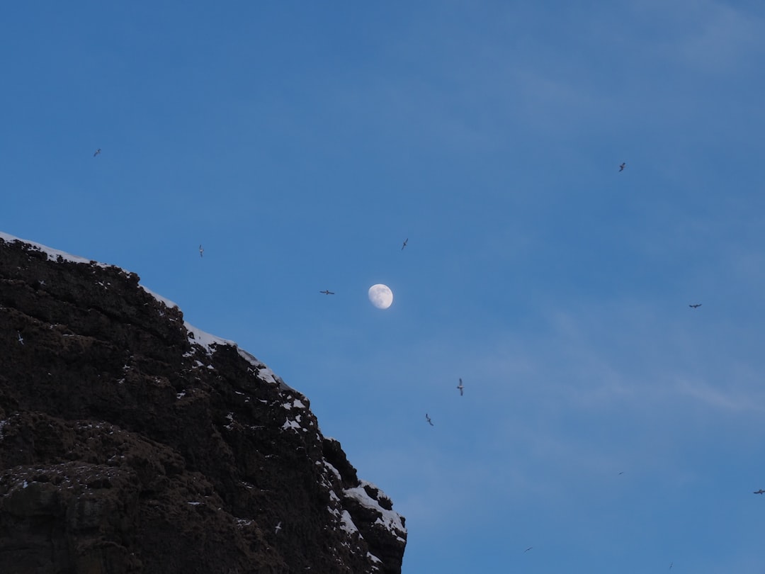 white and black rocky mountain under blue sky during daytime