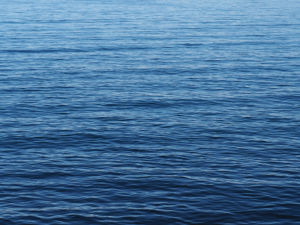 blue sea water during daytime
