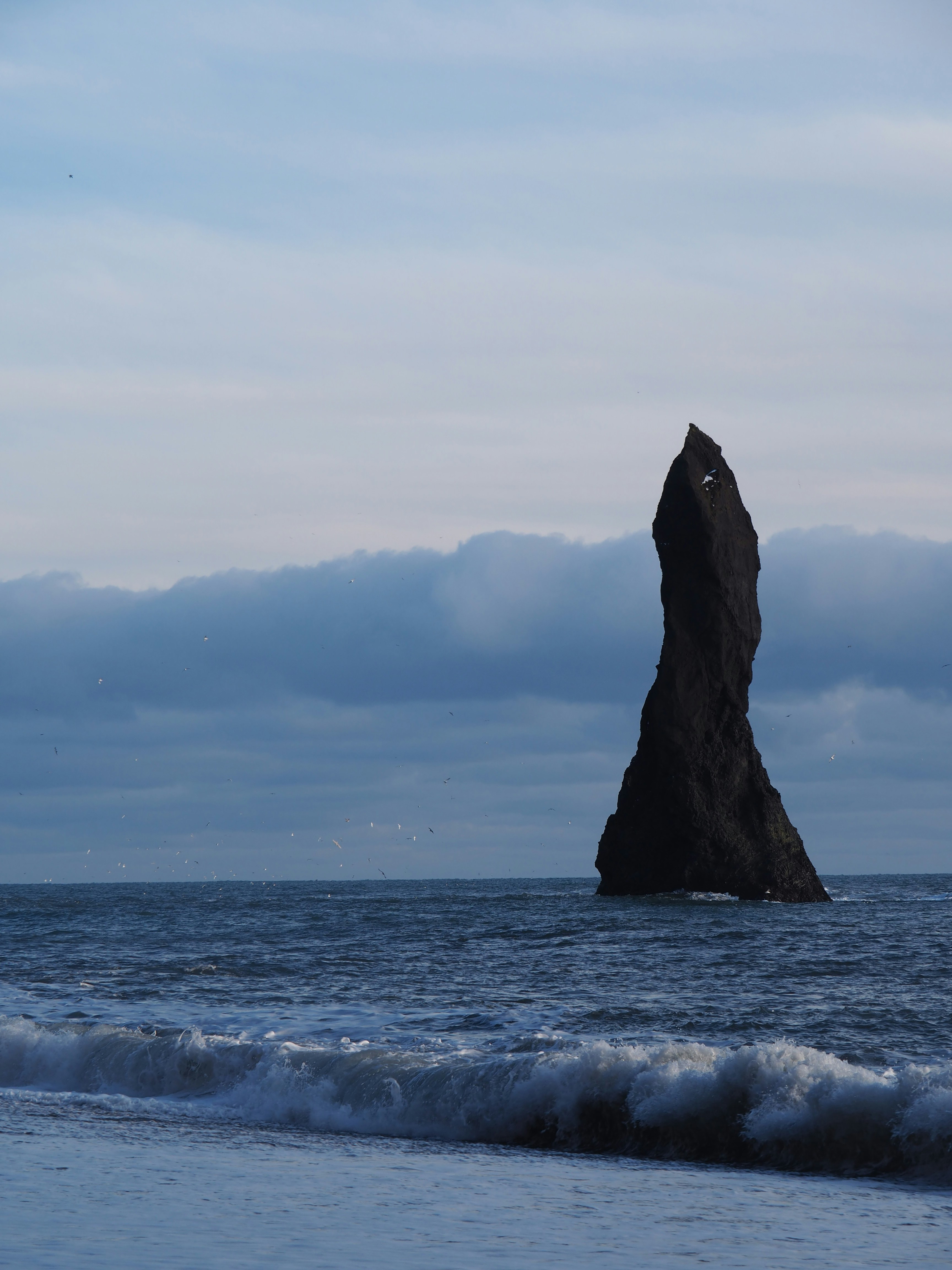 Photo by nimbus_vulpis