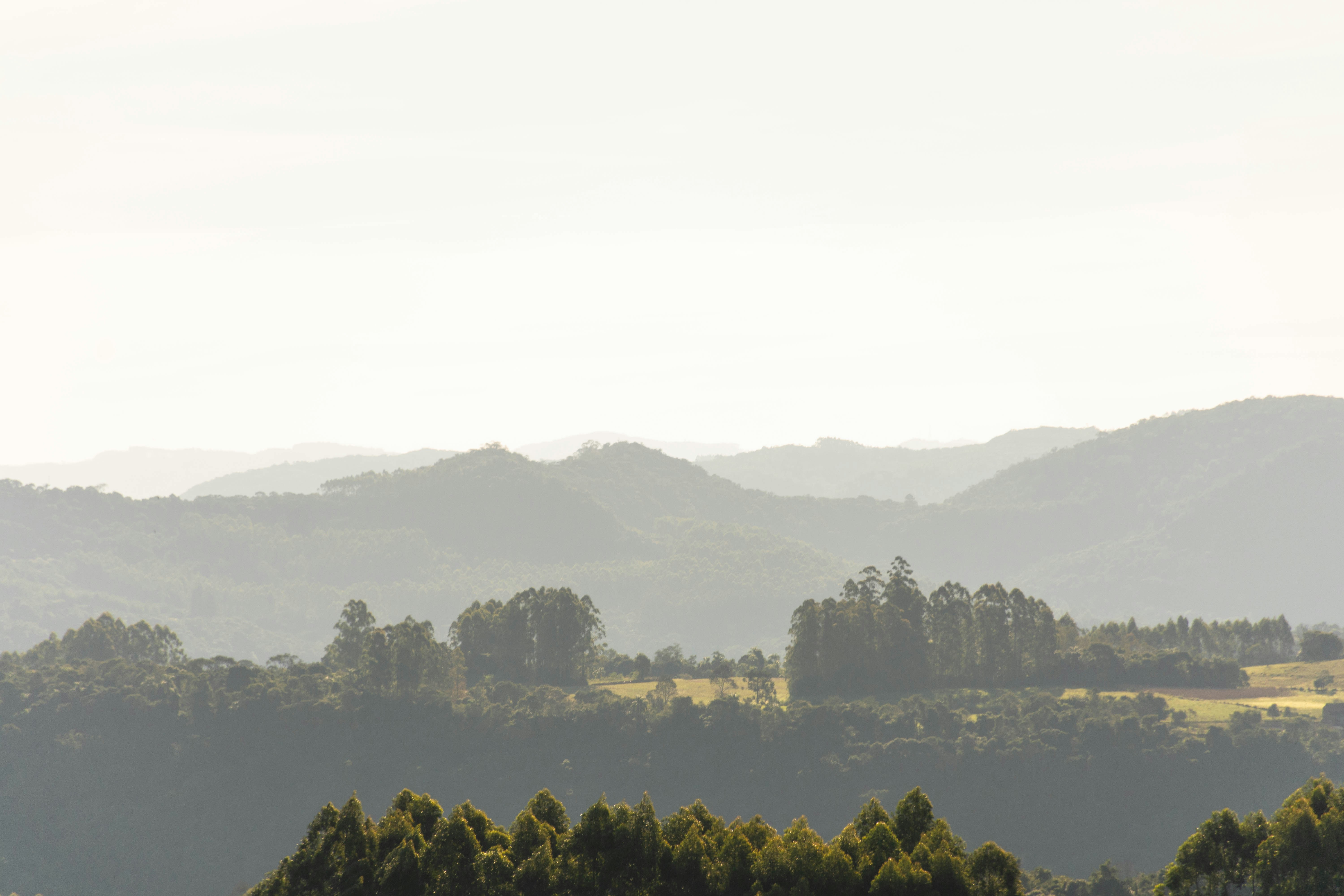 Photo by lucasgwendt