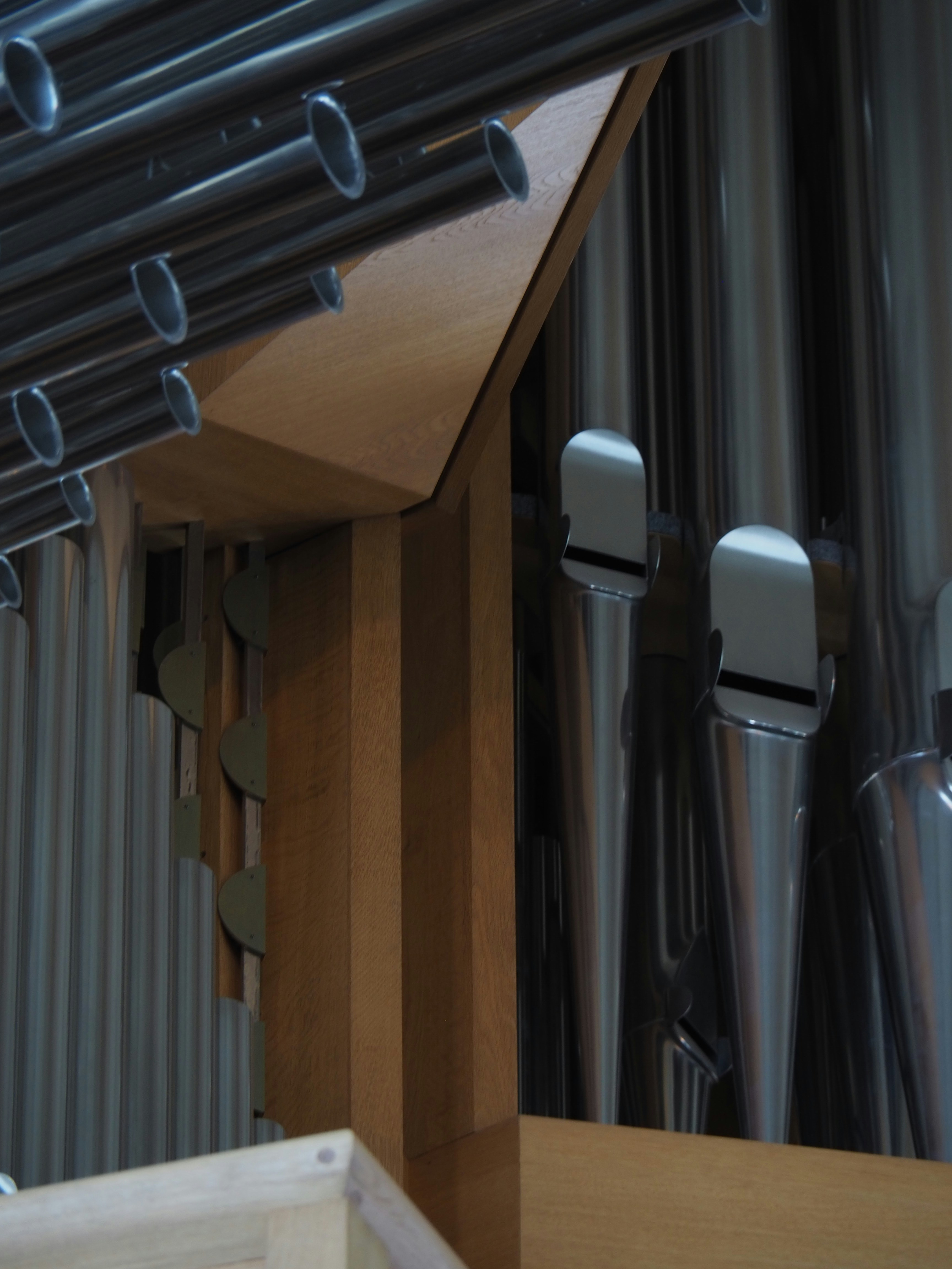 Photo by nimbus_vulpis