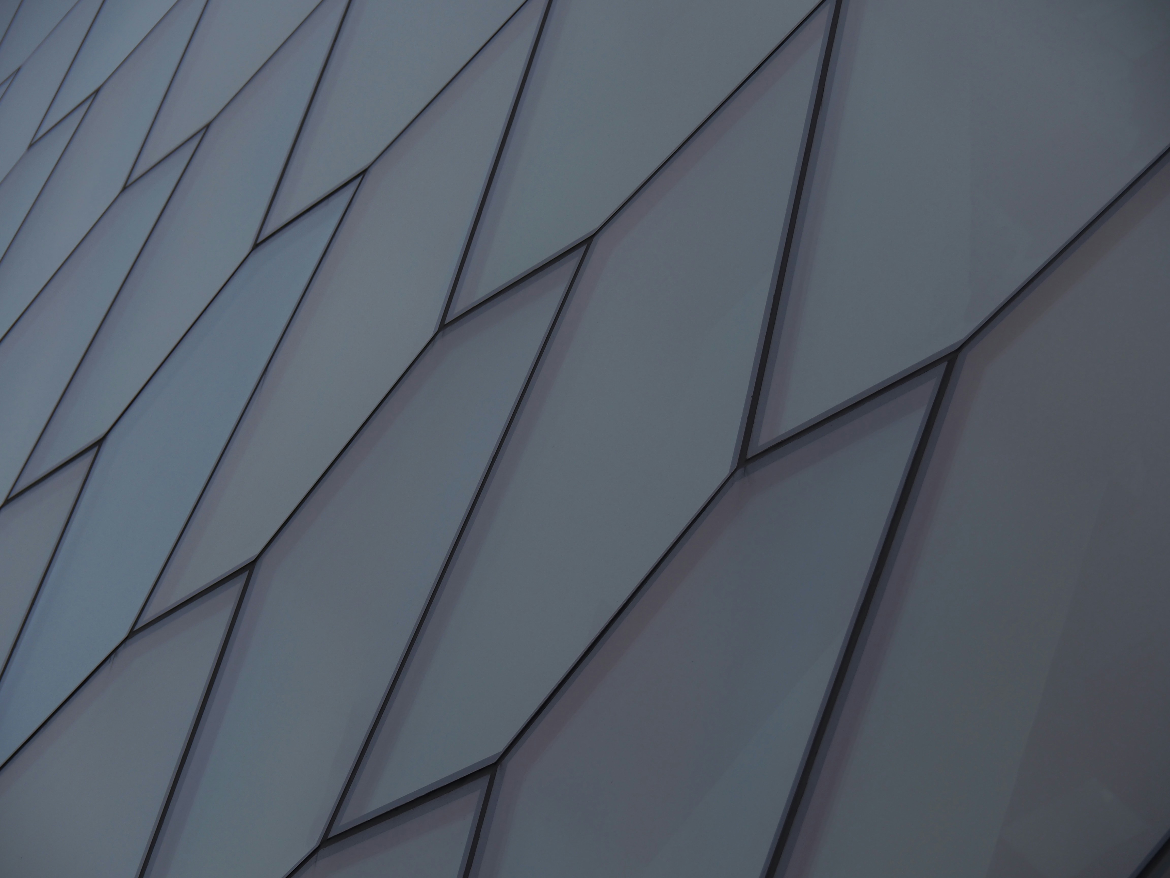 Photo by nimbus_vulpis