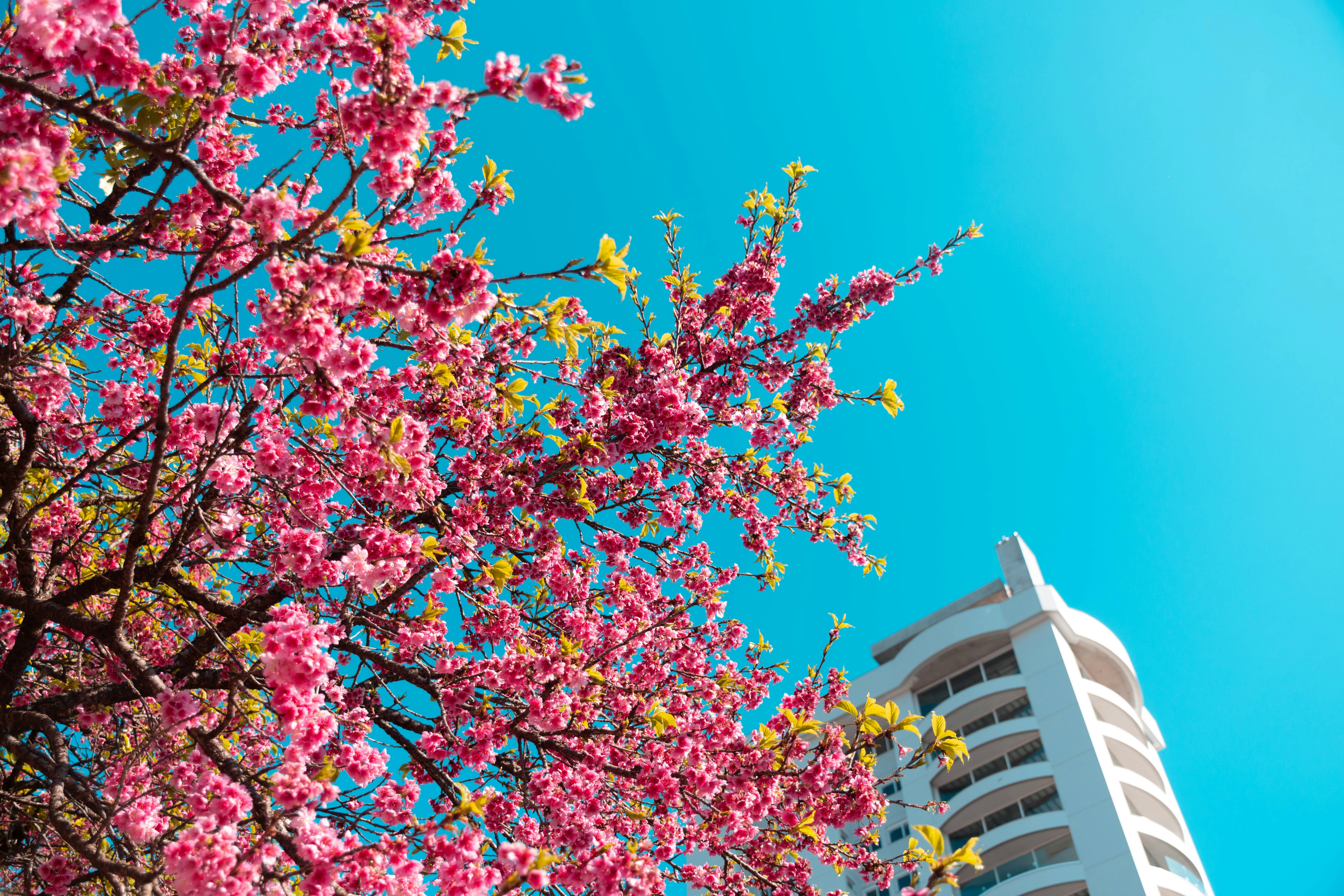 Photo by lucasgwendt