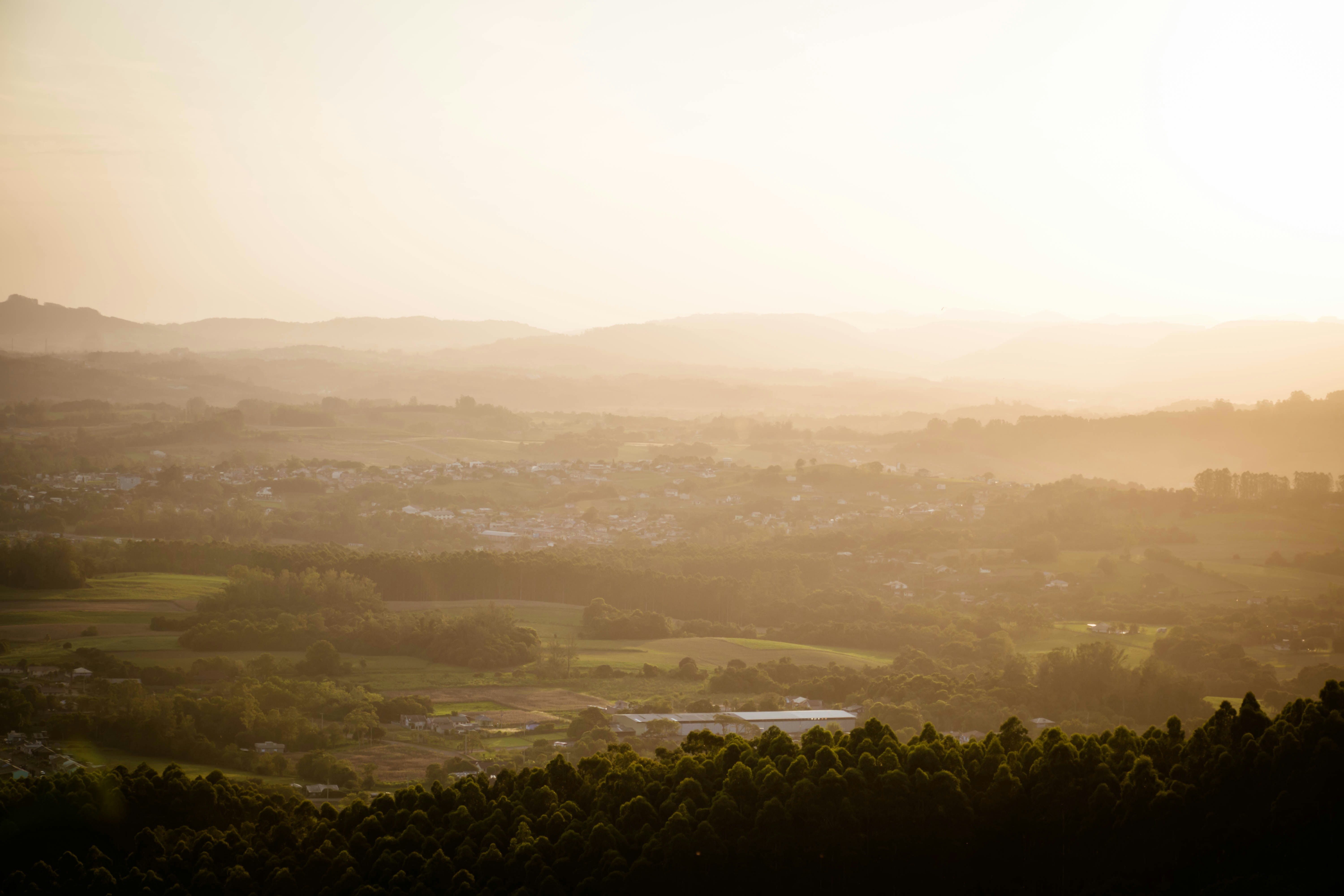 Photo by lucasgwendt