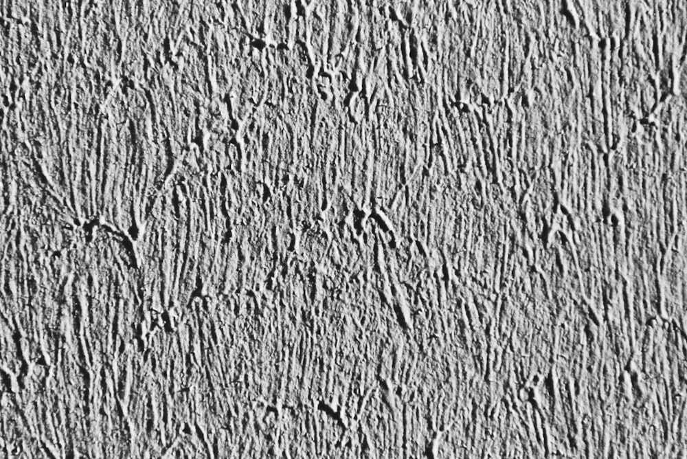 parede de concreto branca e preta