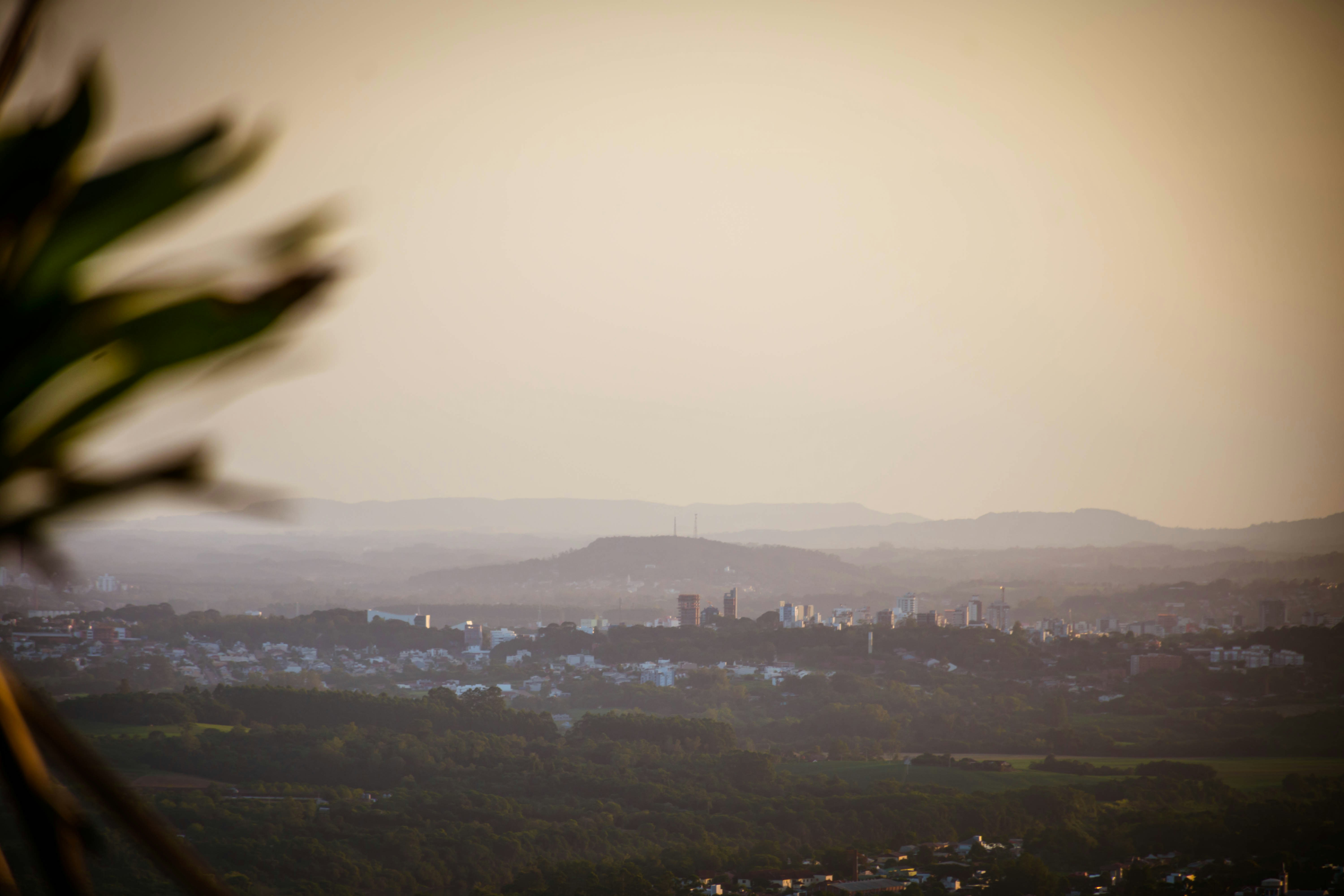 Photo by lucasgwendt