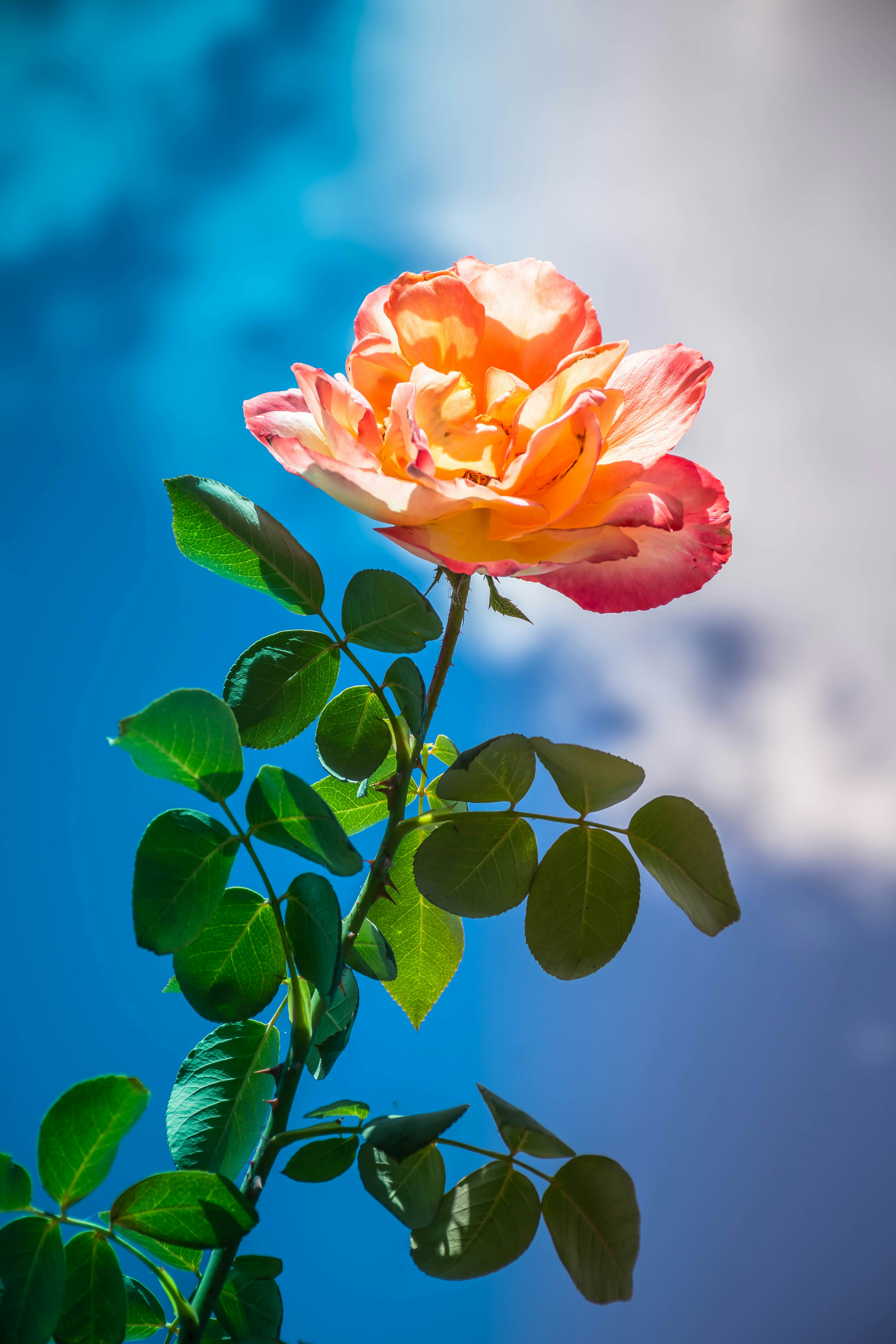 Photo by lucasgwendt