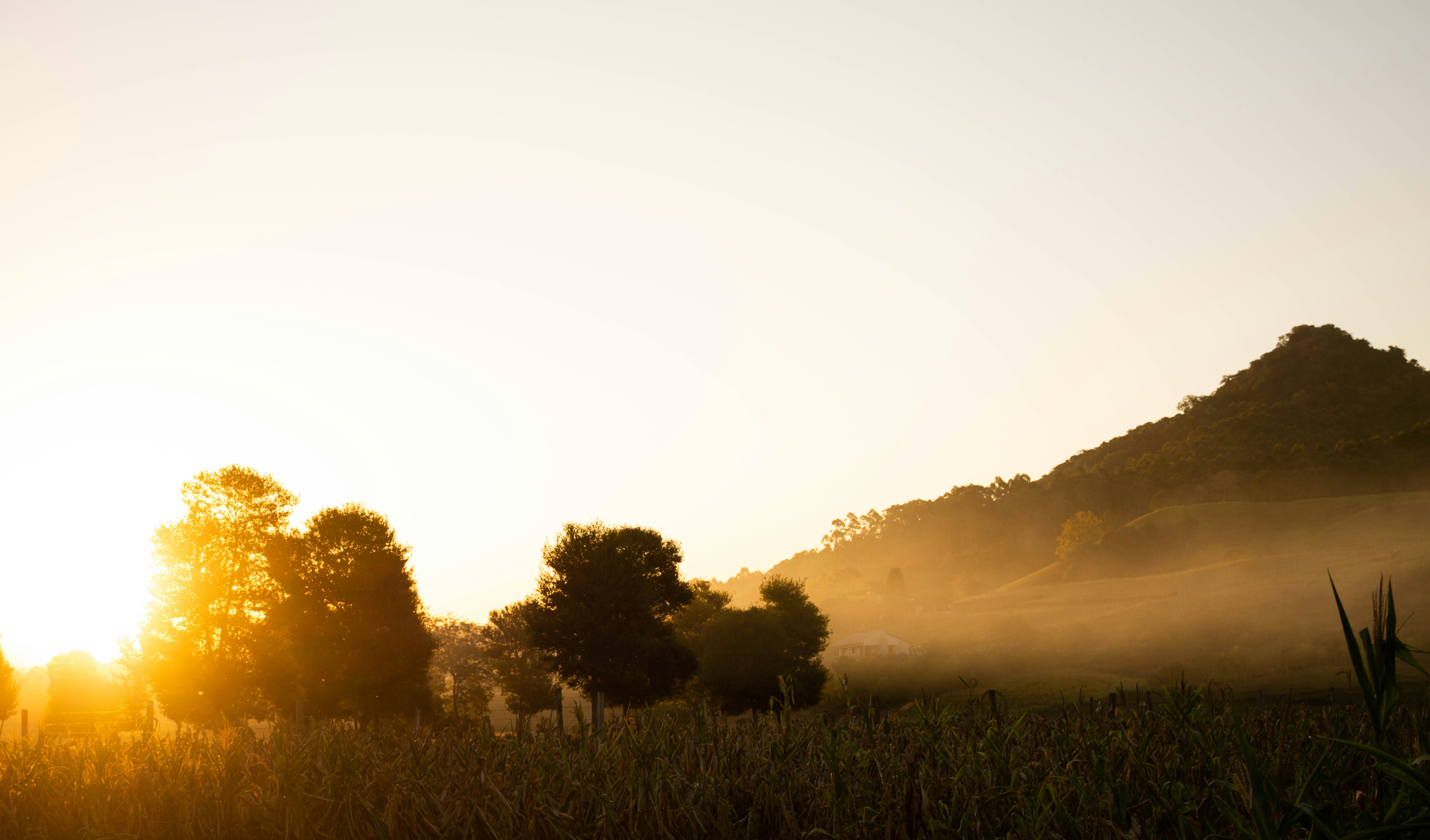 Photo by lucasgwendt